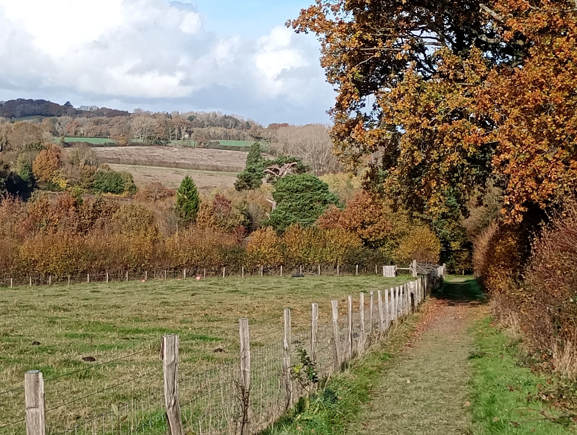West Kent Walking group Lamberhurst circular 3