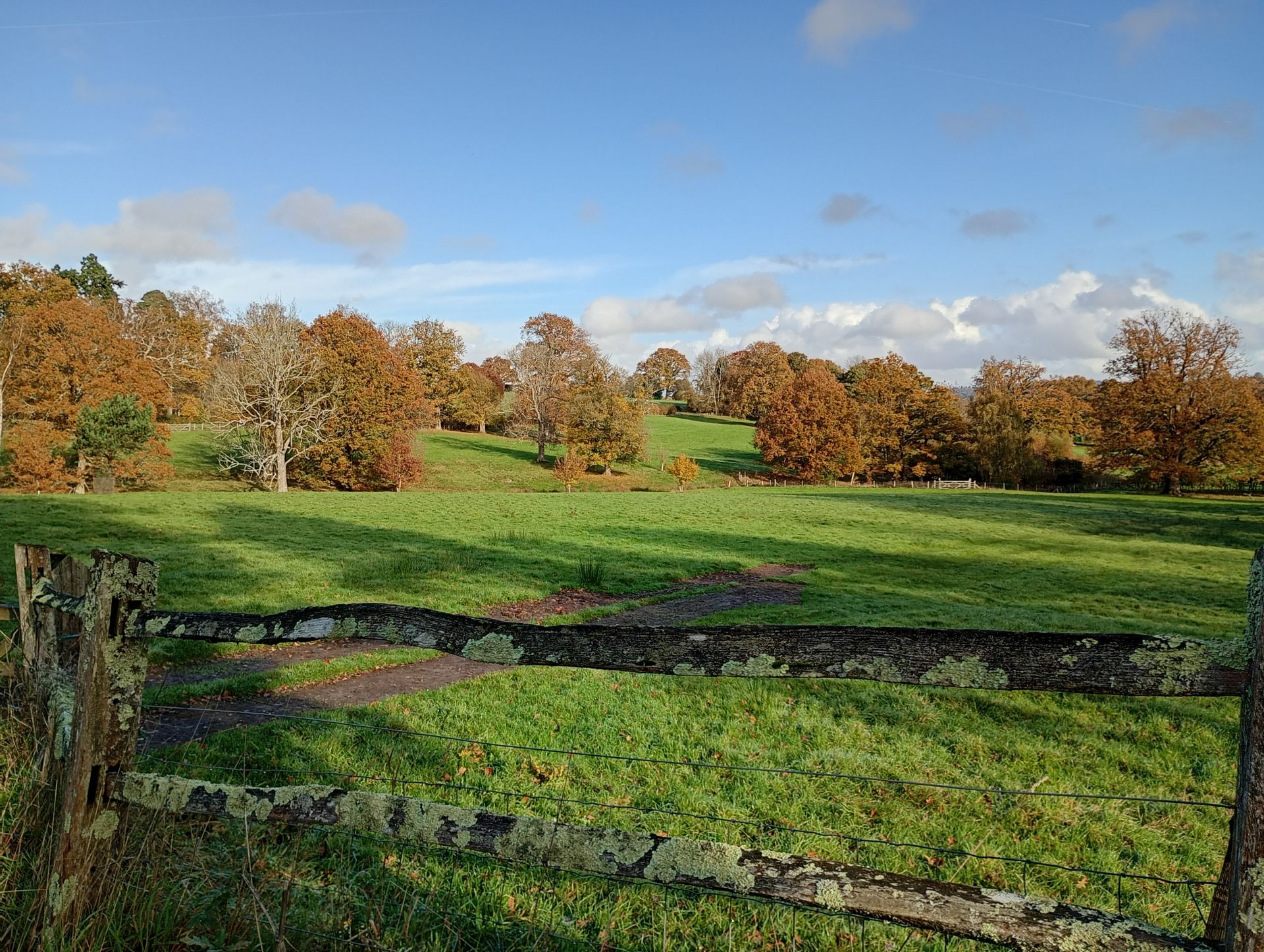 West Kent Walking group Lamberhurst circular - Scotney