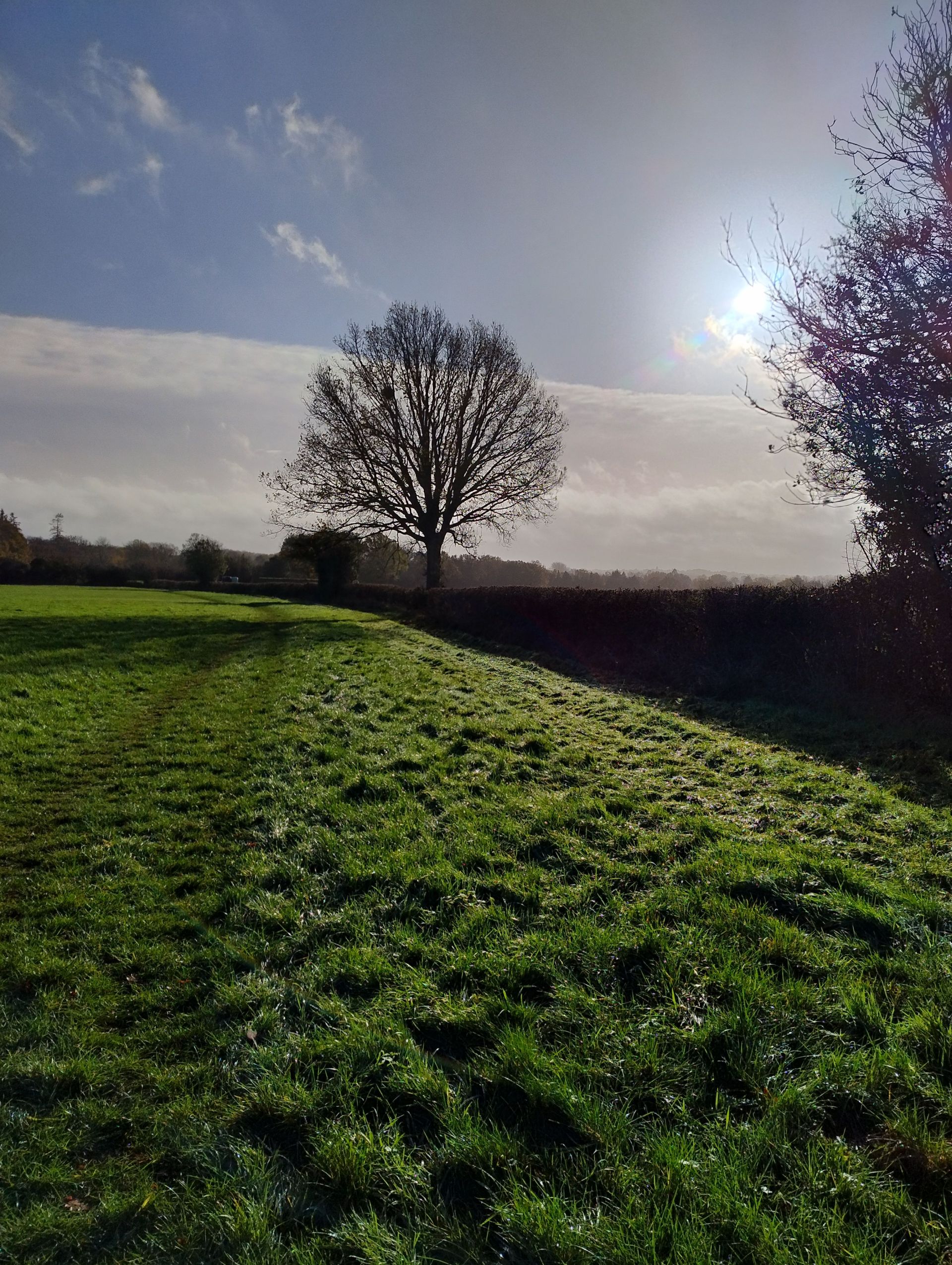 A path along a field edge with distant trees and the sun shining through them