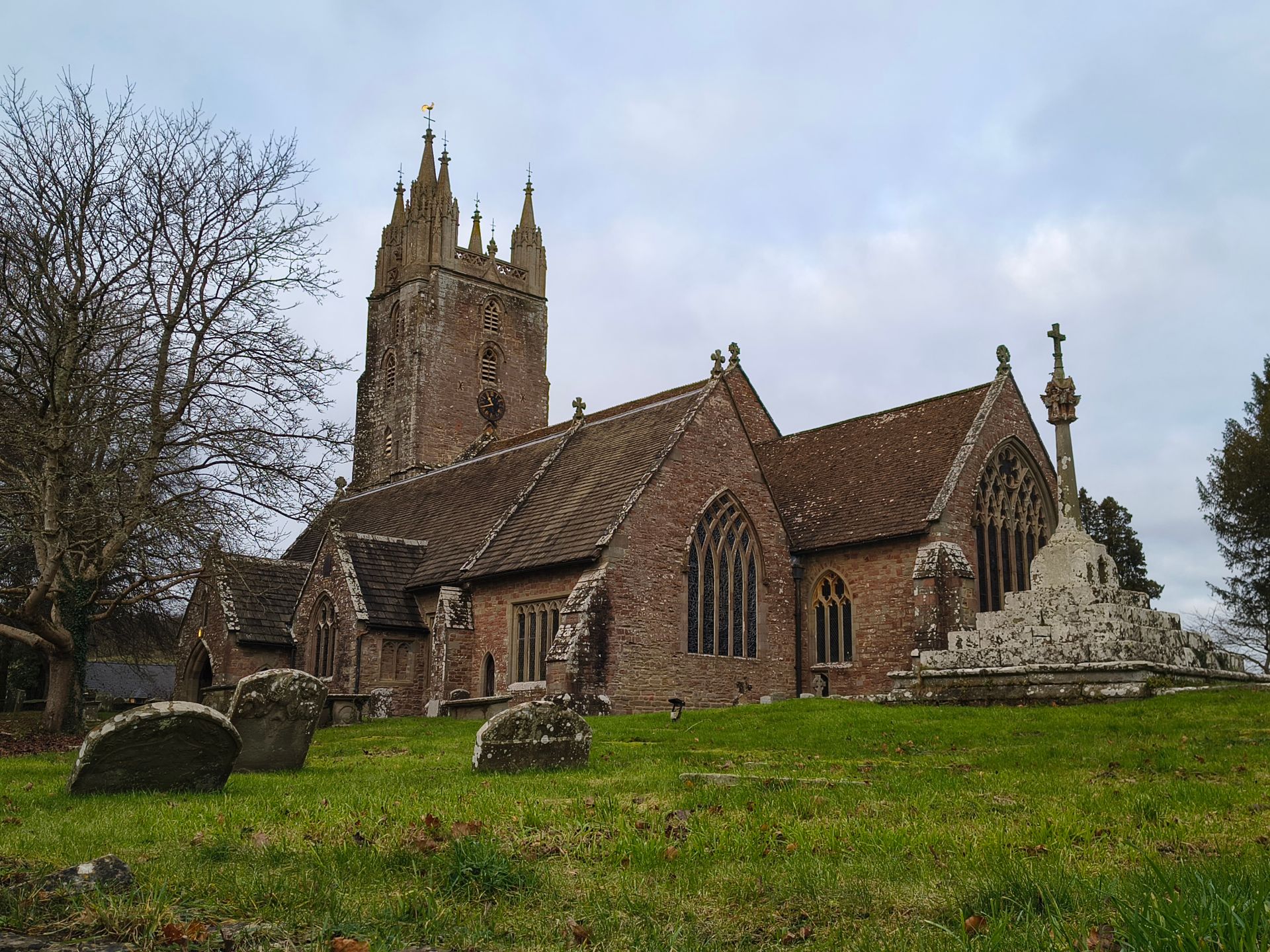 Cathedral of the Forest