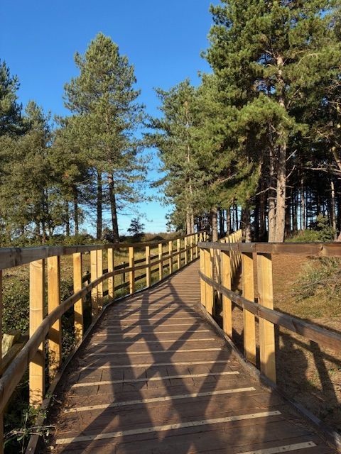 New Boardwalk Holkham