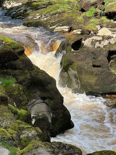The Strid