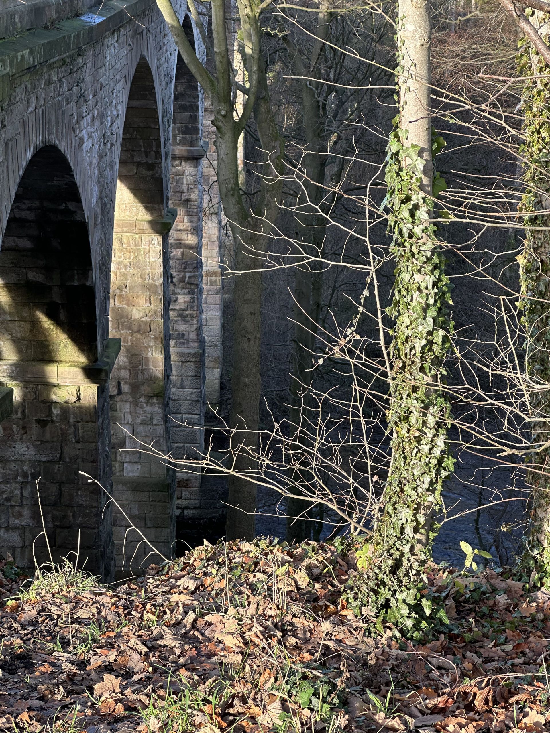 Bridge, over the River Nidd