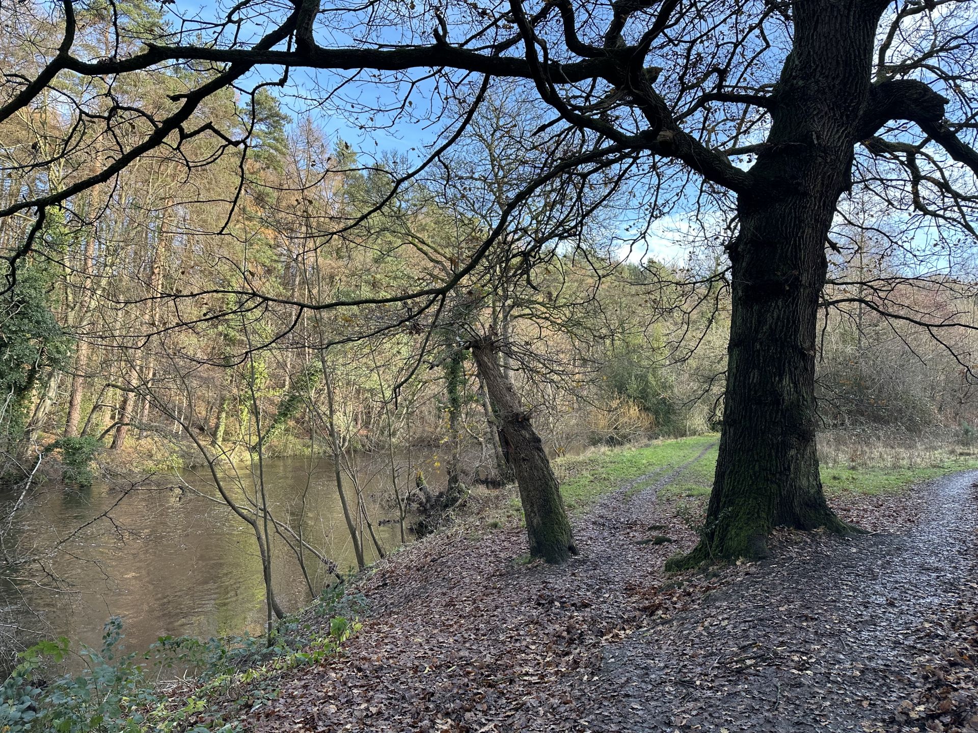 Bank of the River Nidd
