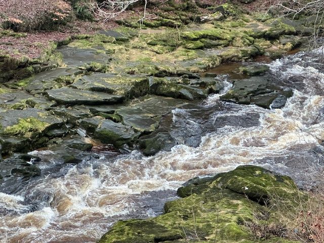 The Strid