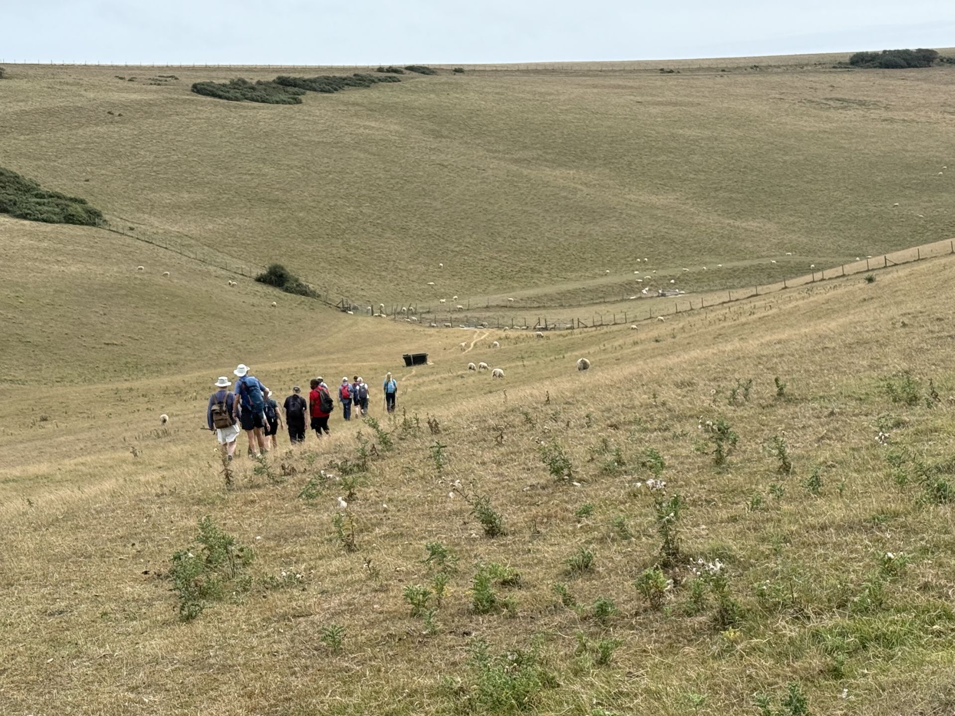 Above Chapman’s Bottom