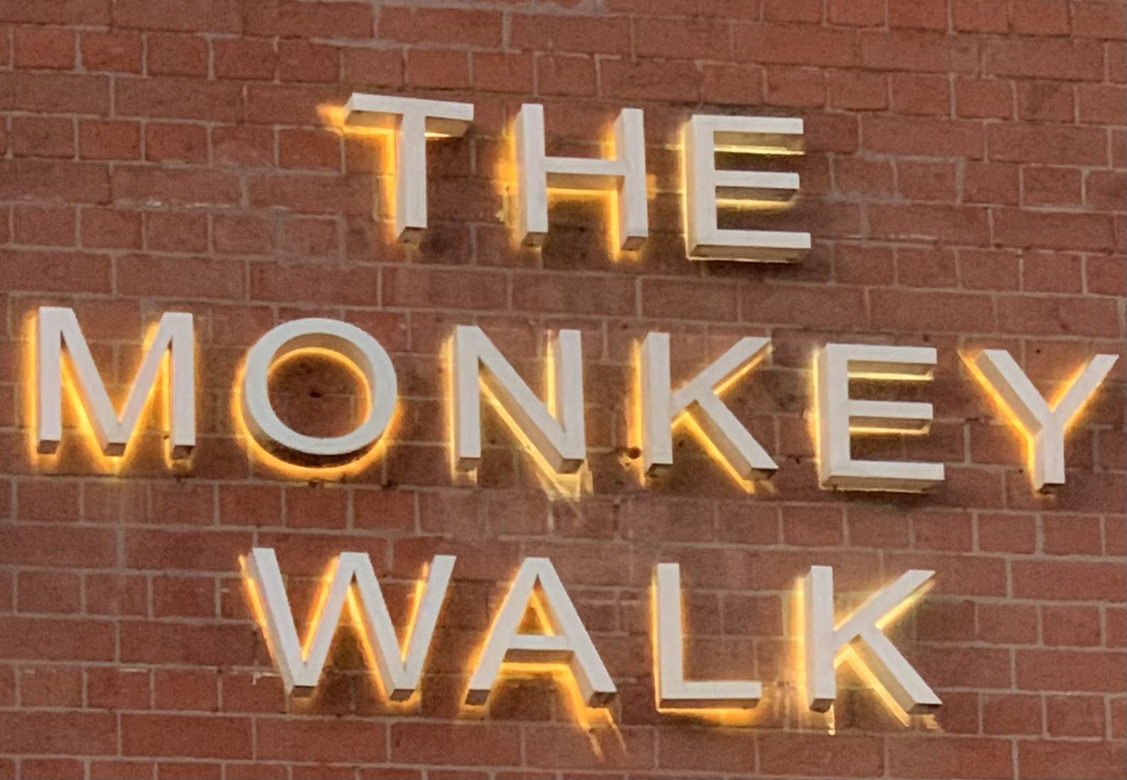 Monkey walk 