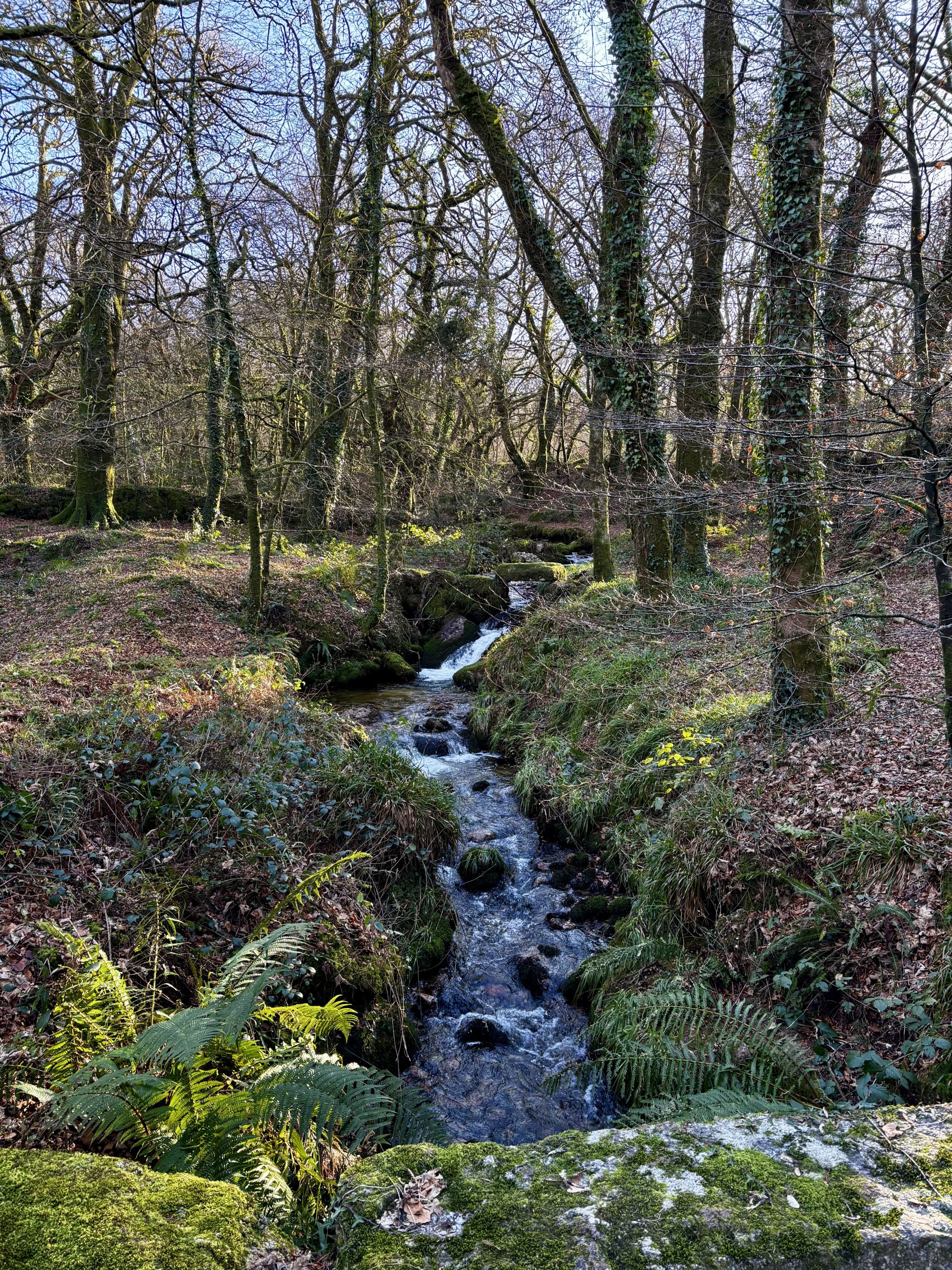 Stream next to Eggworthy Farm