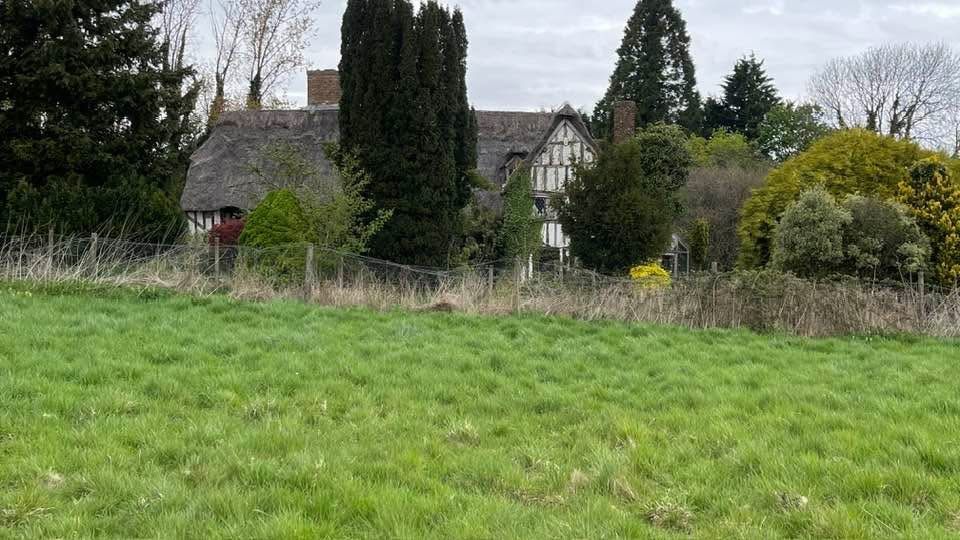 Timbered house through trees