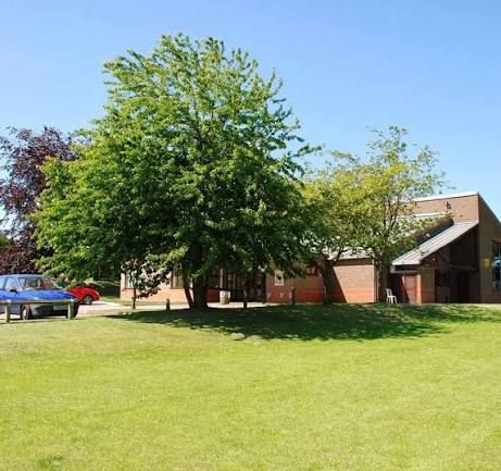 Tree in front of building 