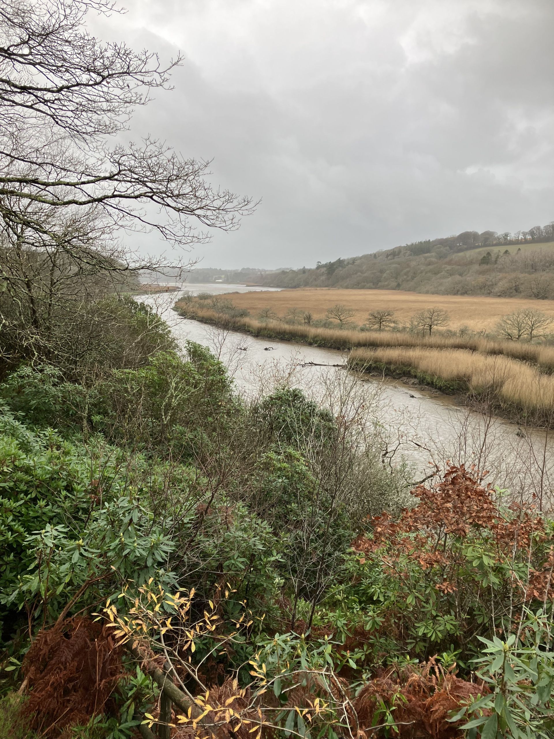 Slebech from Minwear Woods