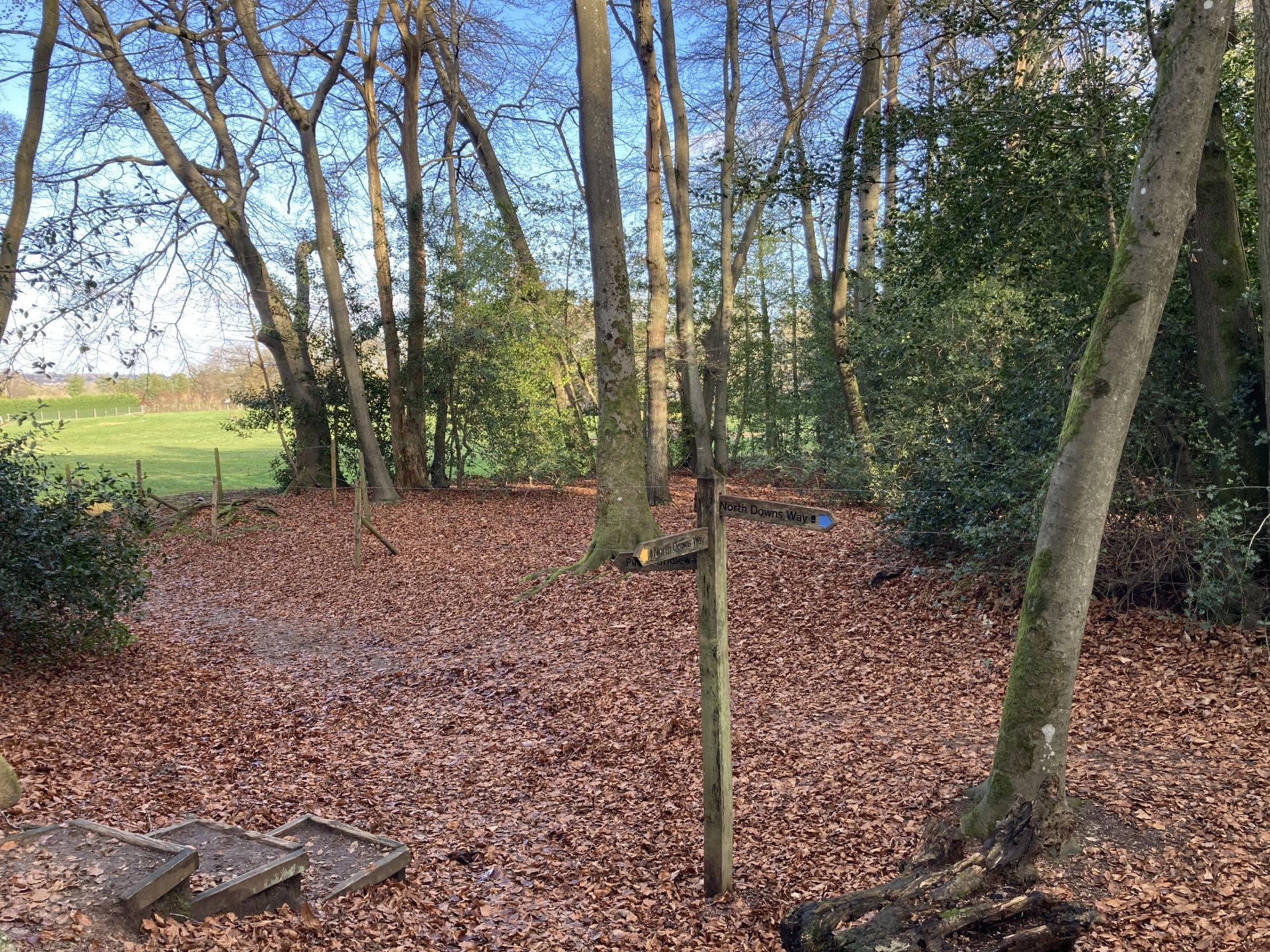 North Downs Way fingerpost