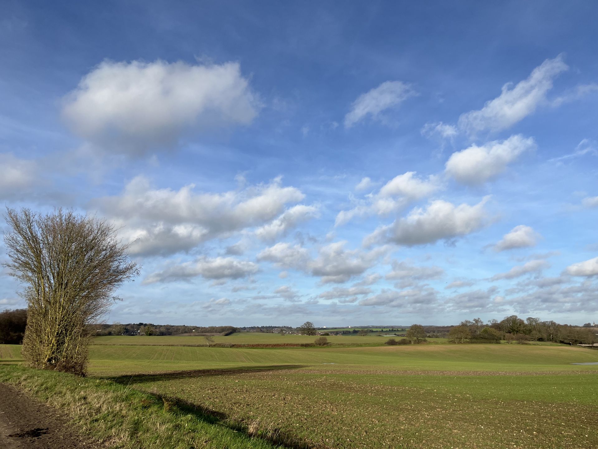 Blue sky over green fields