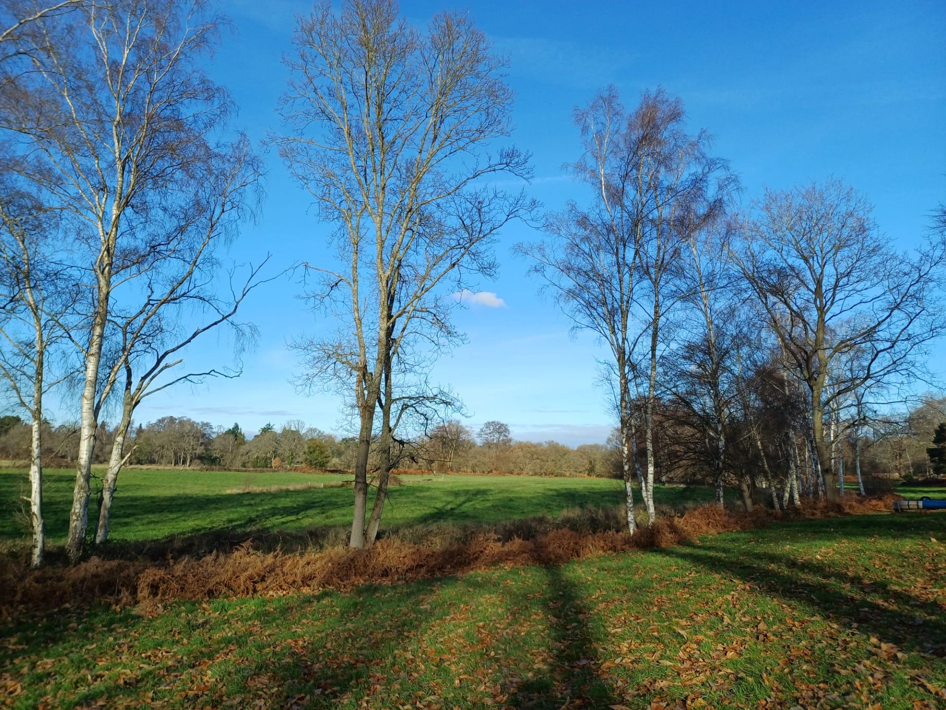 Chobham Ridge Ranges The Longcross Estate and Chobham Common - Ramblers