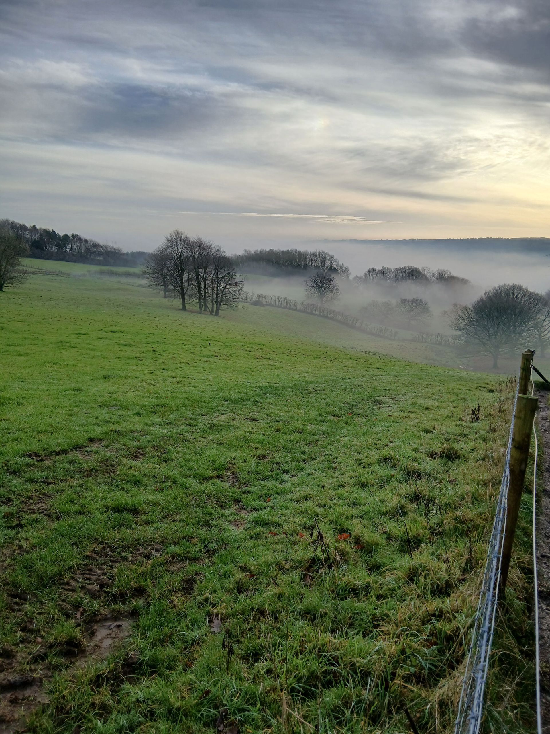 Mist over countryside