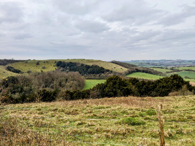 View from Beacon Hill