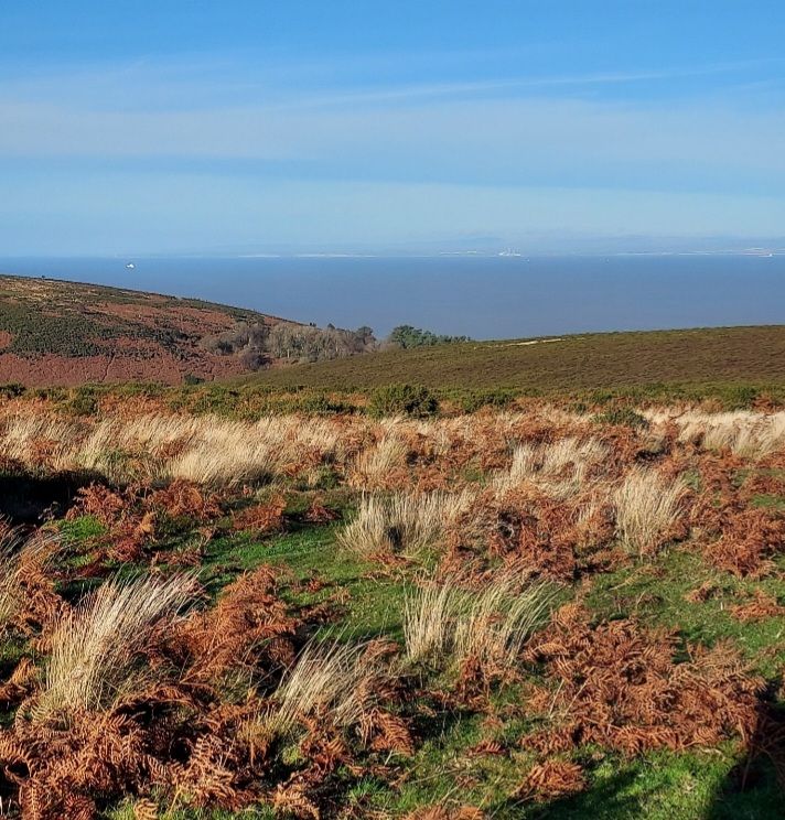 View from the Quantocks 