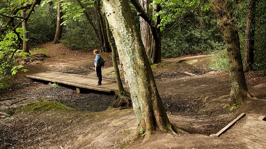 Bracebridge 'bridge No 1'
