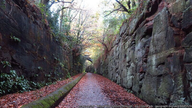 The Wirral Way is a disused railway line from Hooton to West Kirby repurposed as a shared walk and cycleway. Here it runs through a cutting in the sandstone rock. 