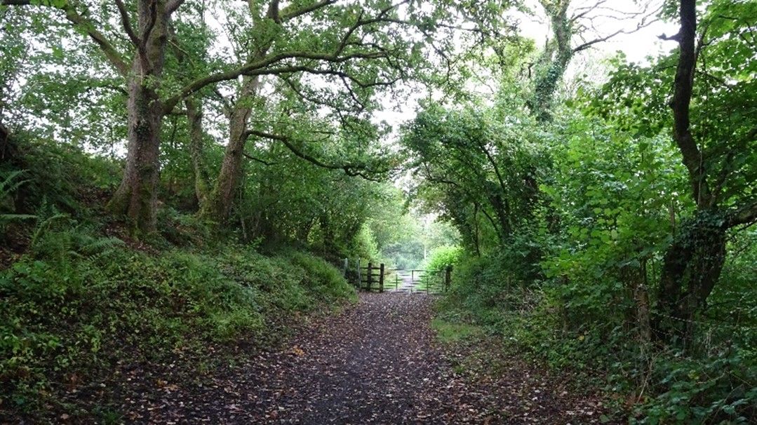 A RRamble between Hirwaun and Penderyn