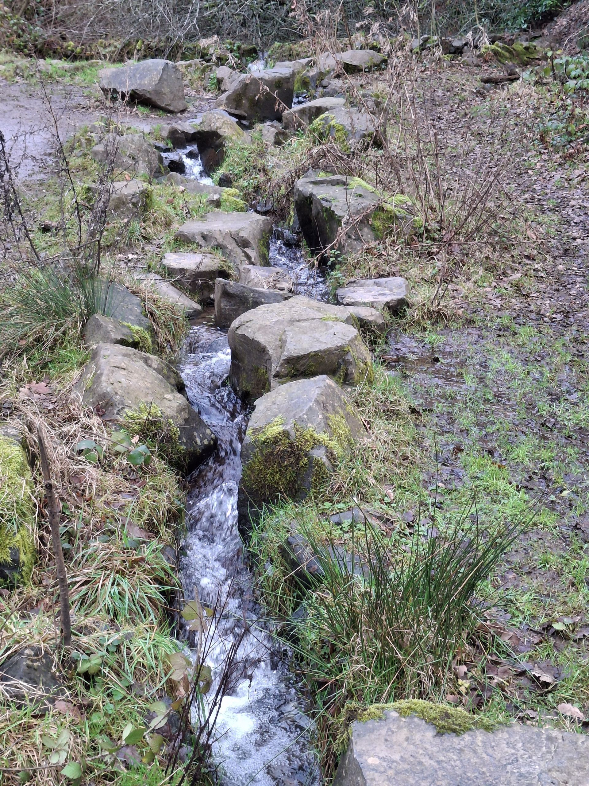 Water Fall Lickey Hills
