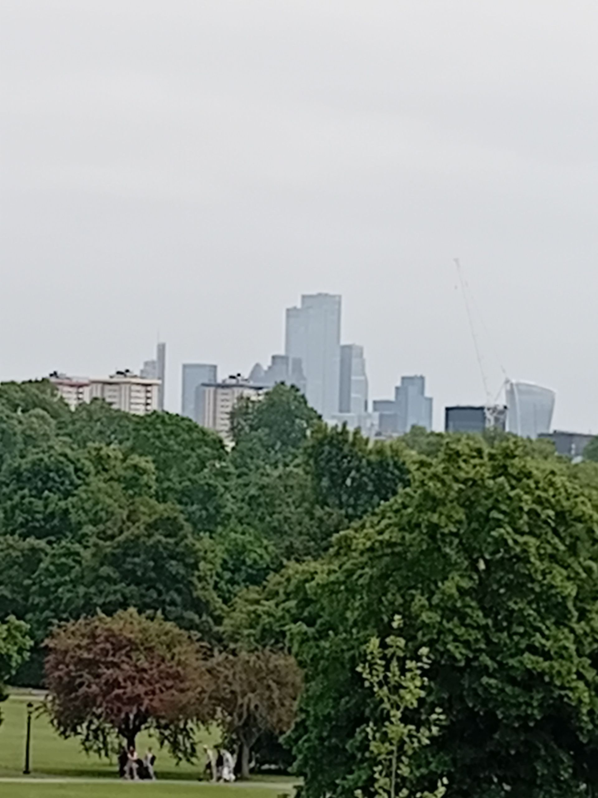 View Primrose hill