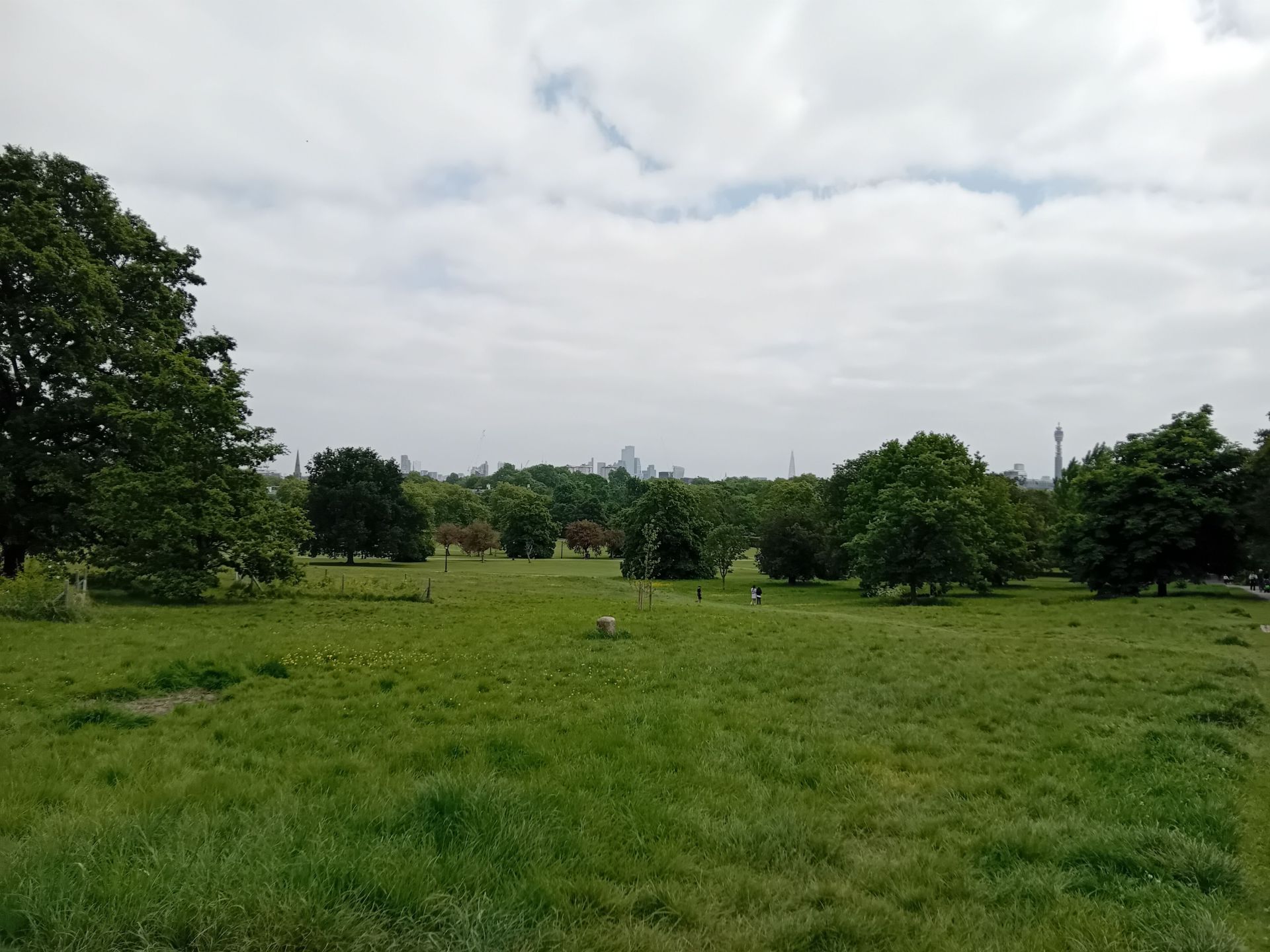 Primrose hill