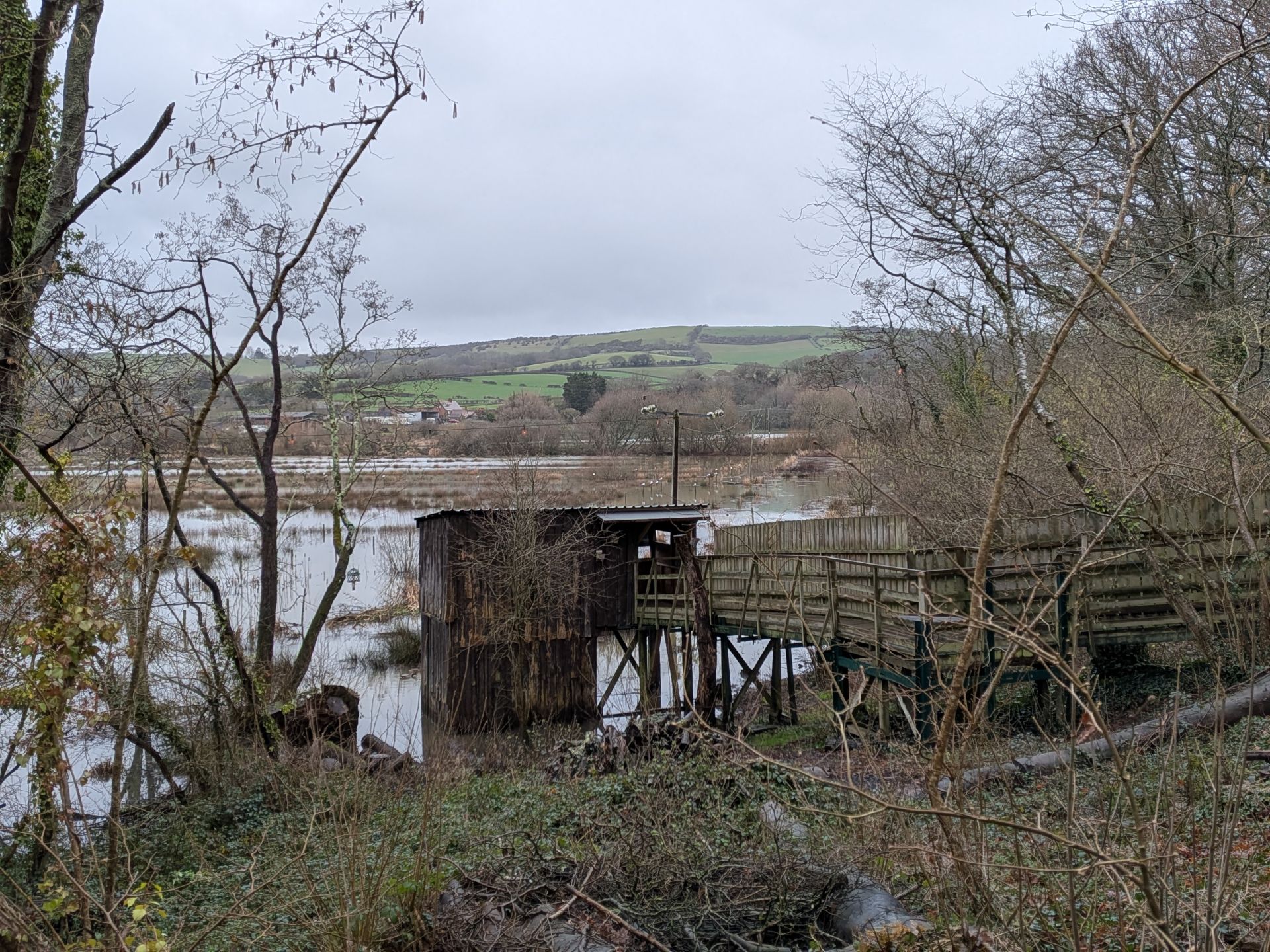 A view with a bird hide