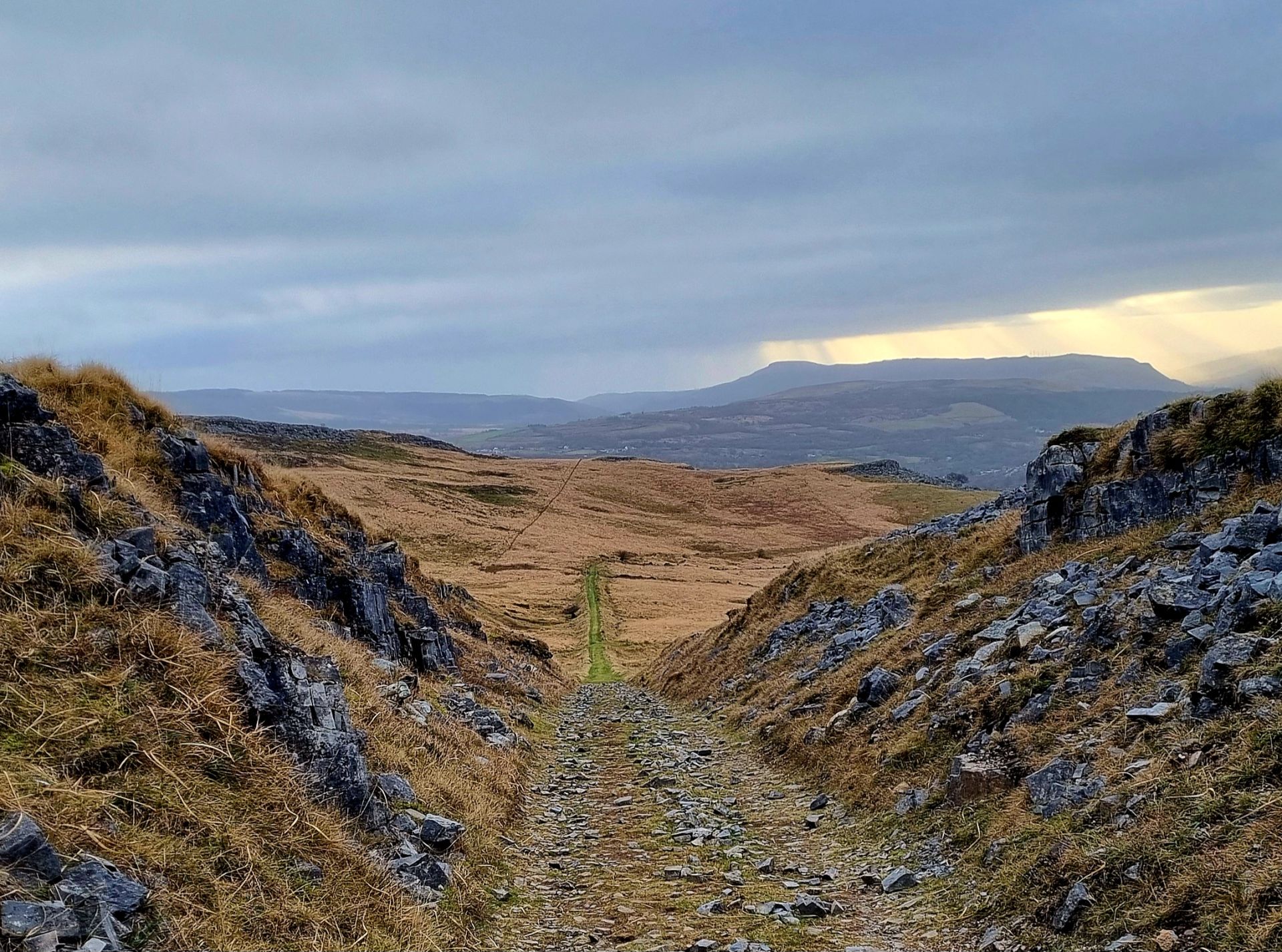 Path disappearing into the distance
