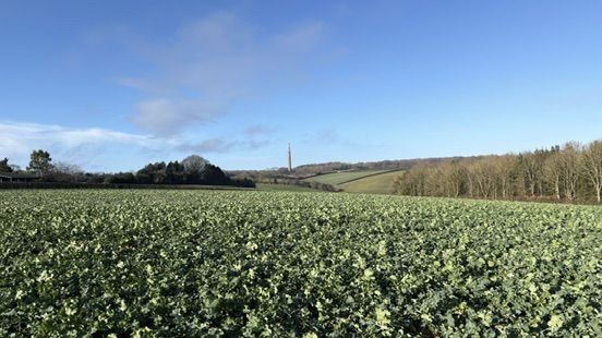 on the path leaving Stokenchurch