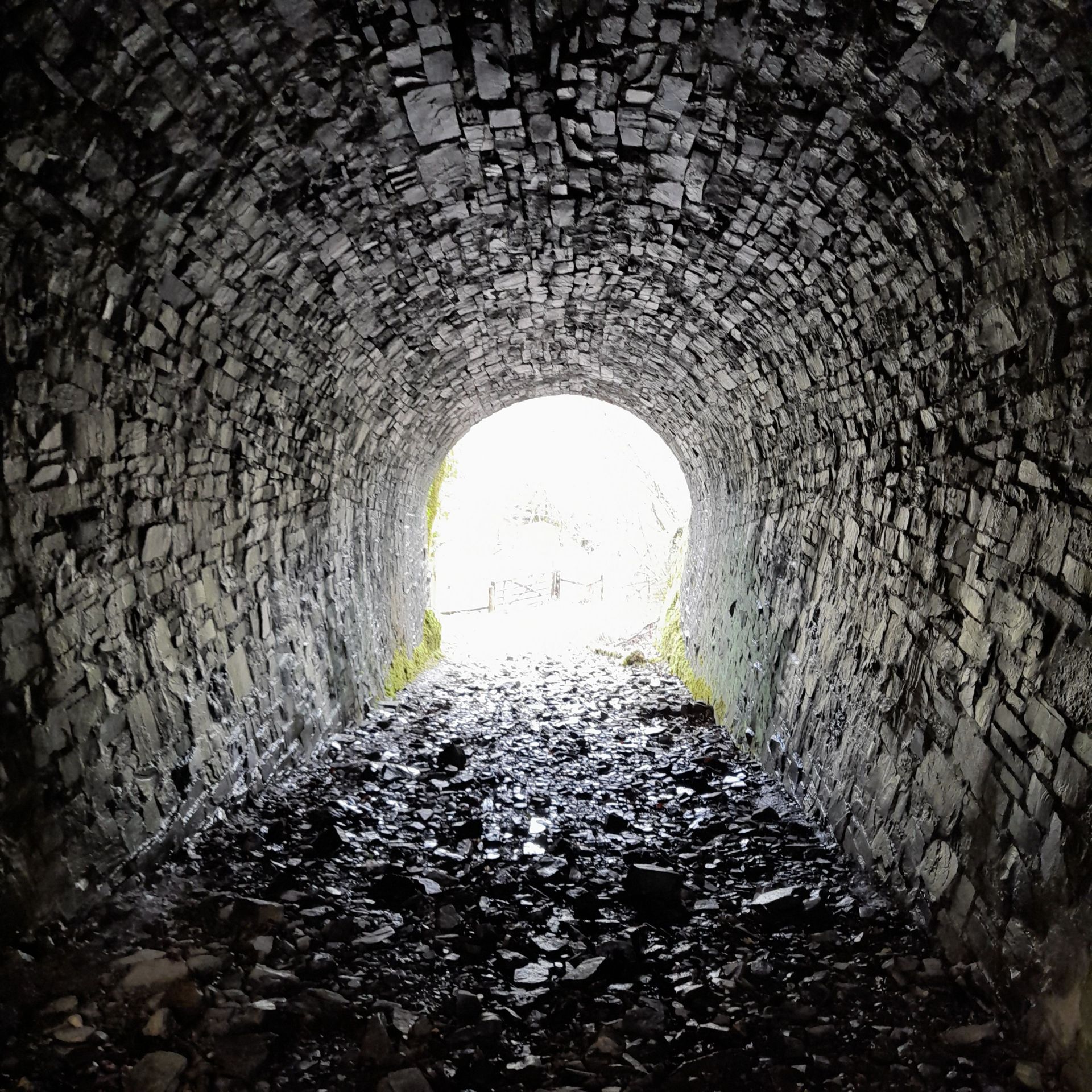 tunnel