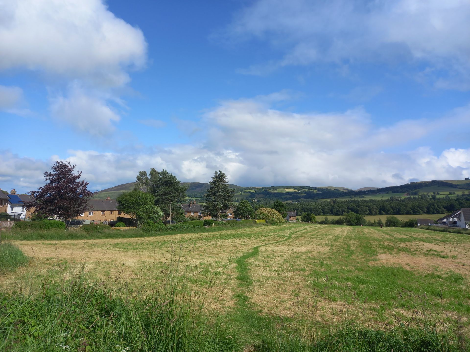 Auchterarder meadow
