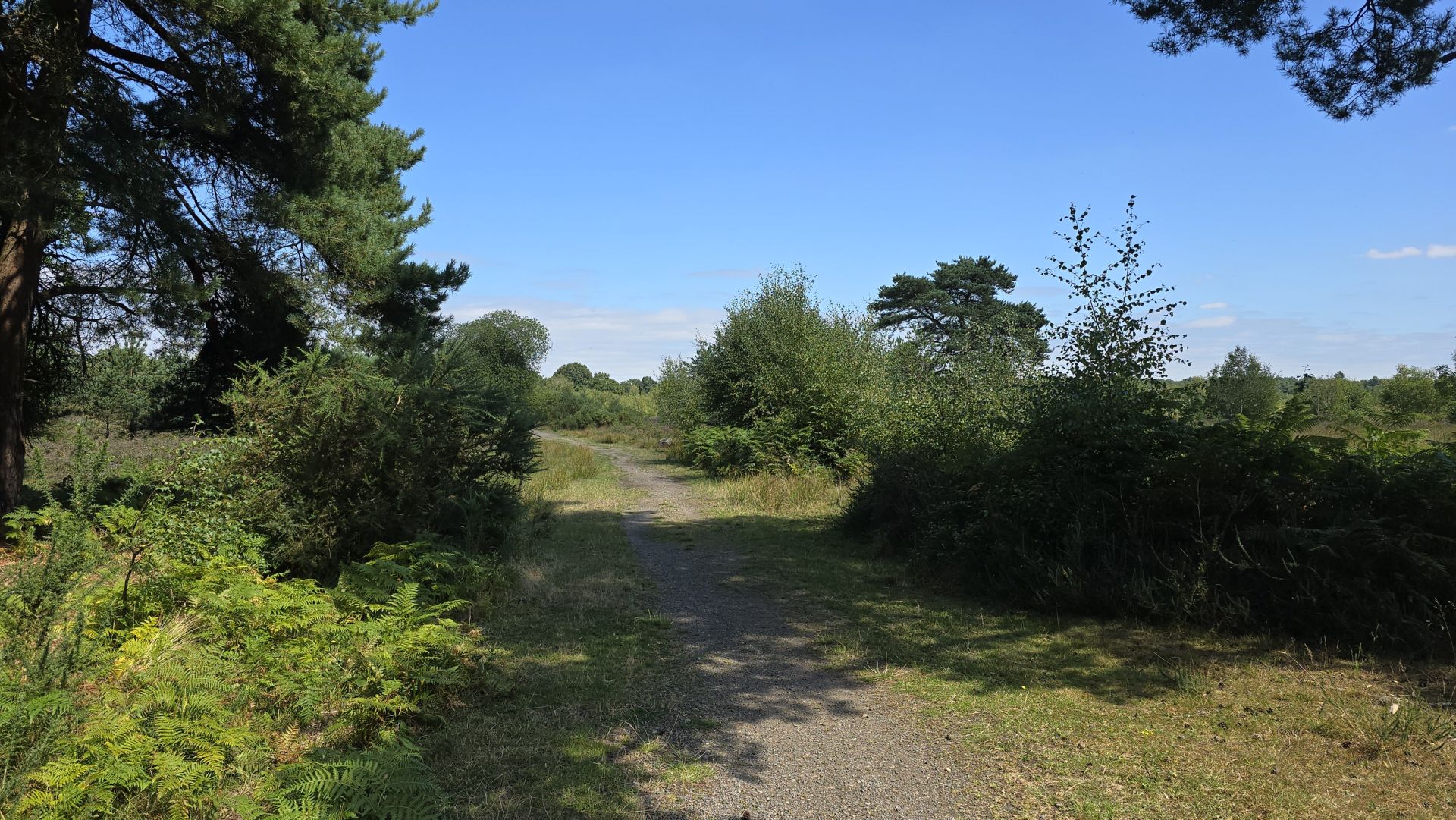 View of the path through Stoke Common