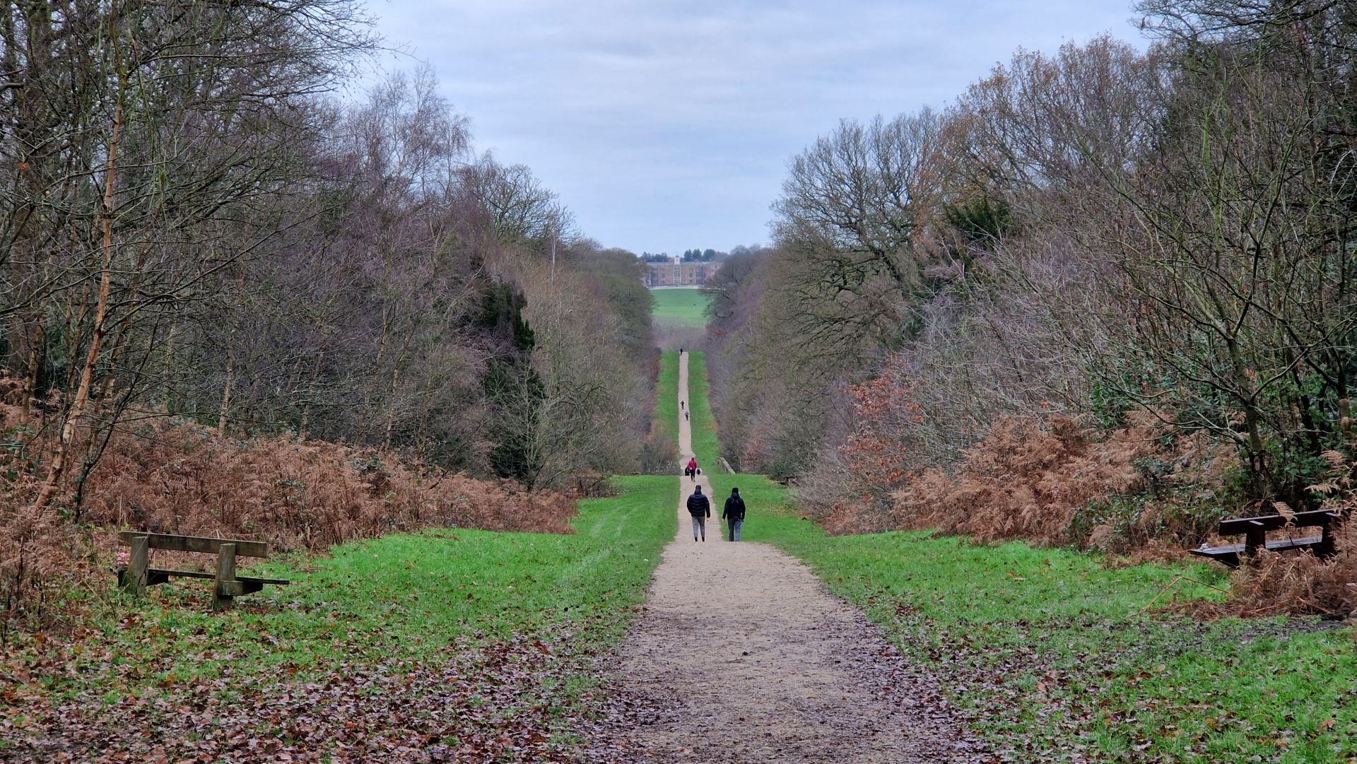 The Avenue at Temple Newsam