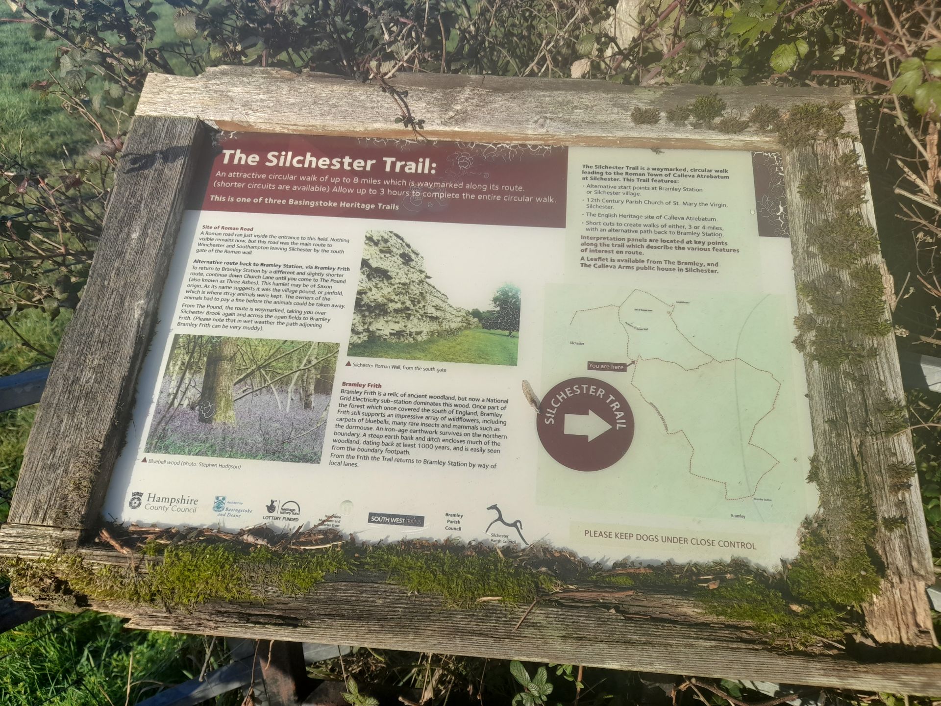The Silchester trail