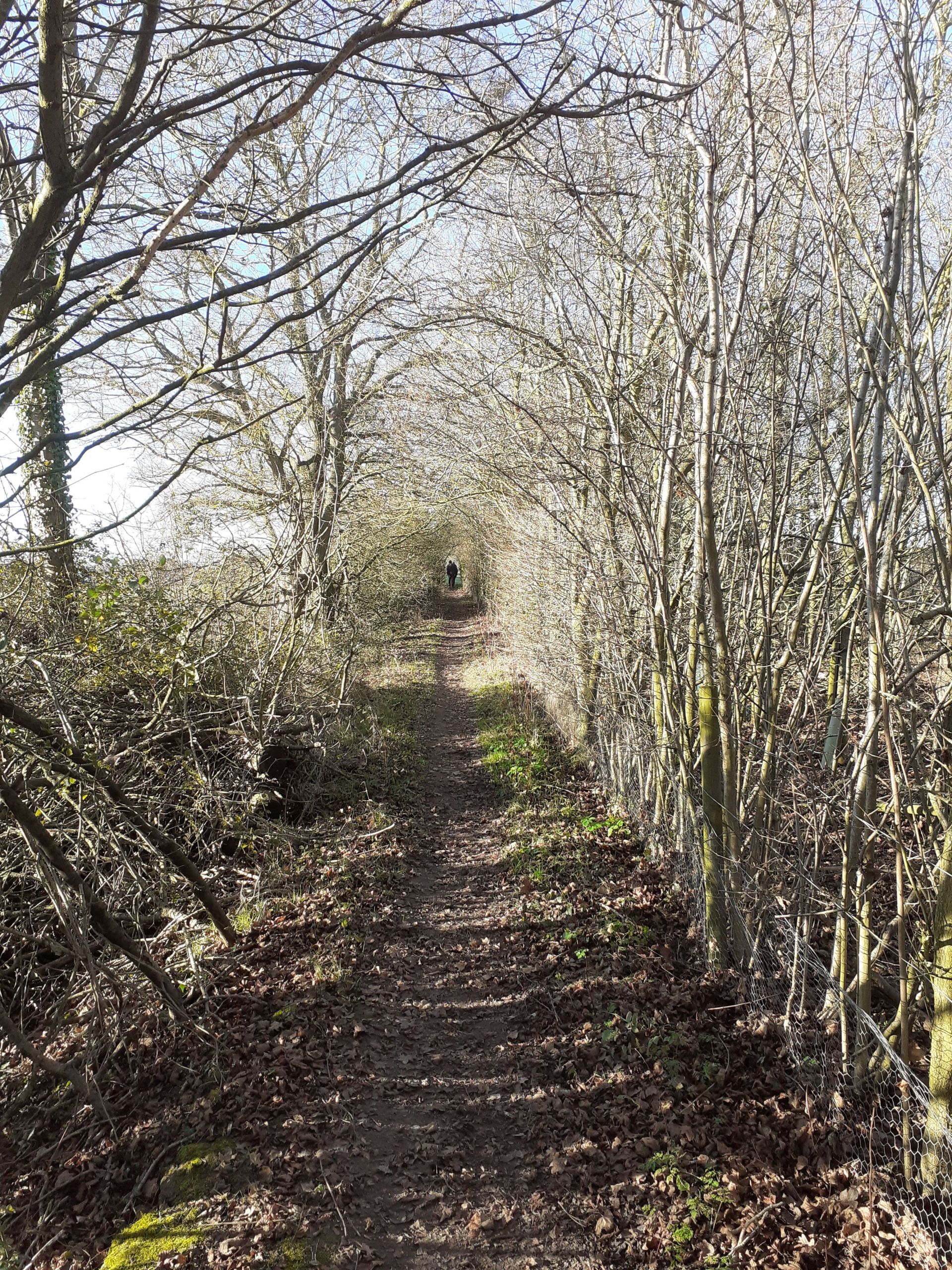 Approaching Penlan Hall