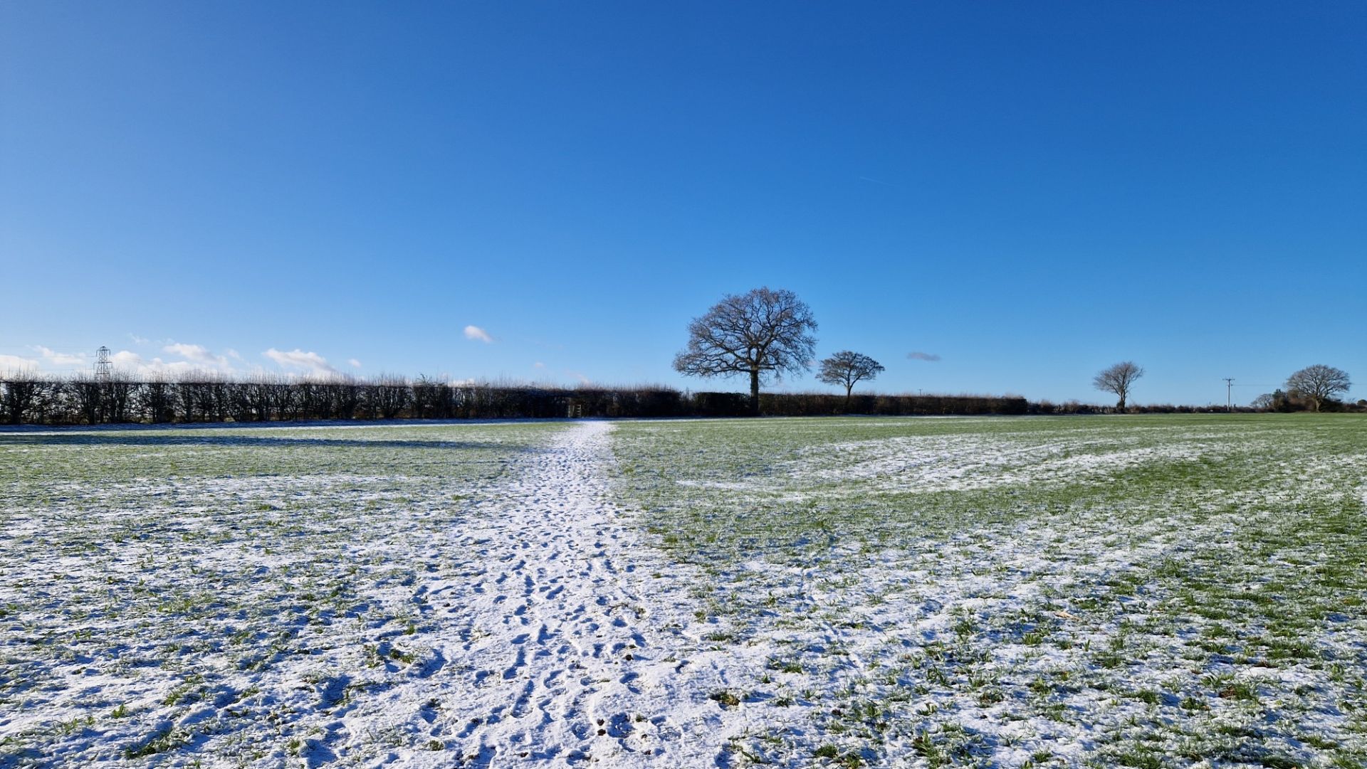 Snowy field