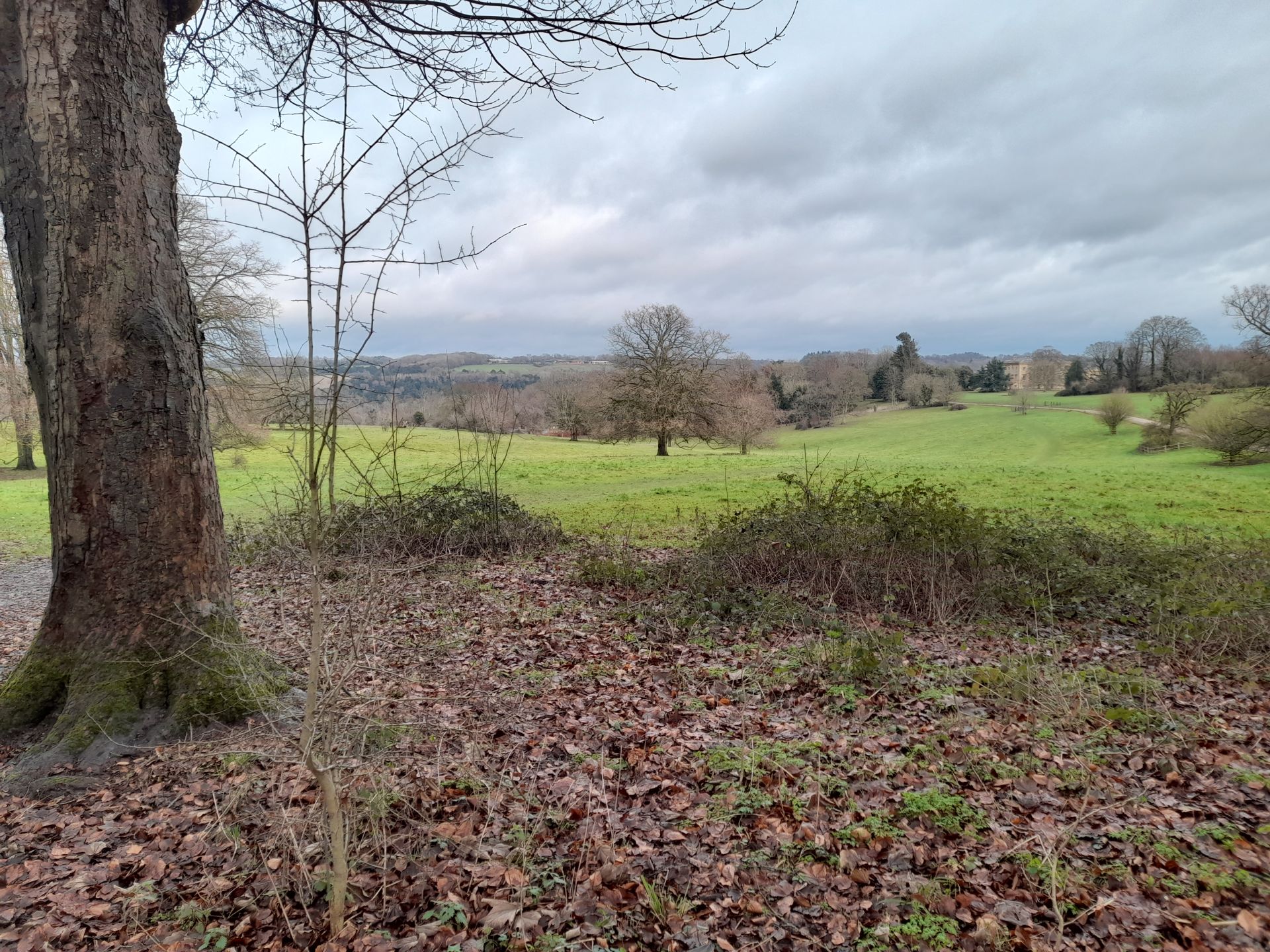 View over Basildon Park
