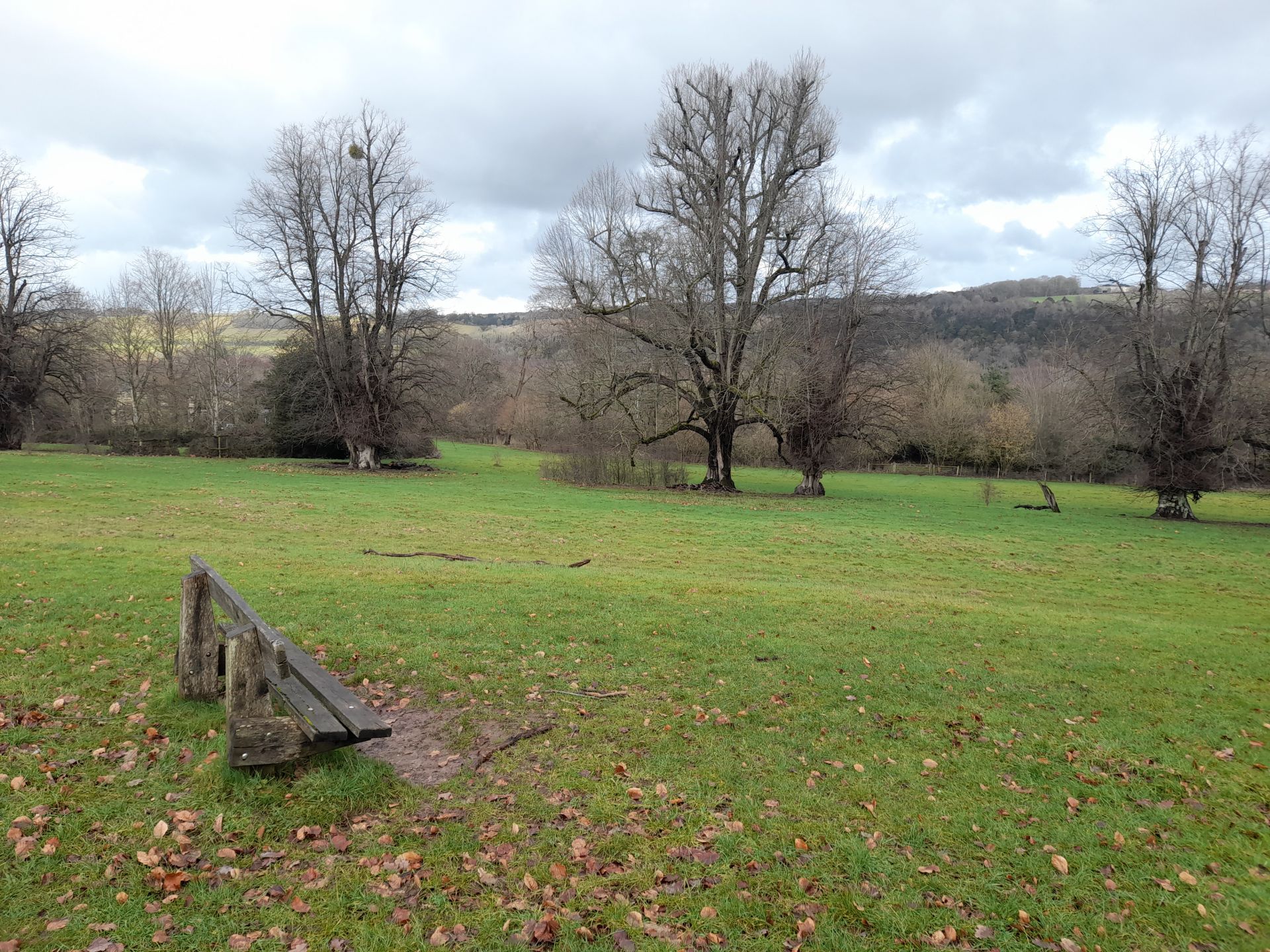 View from Basildon Park towards the Thames