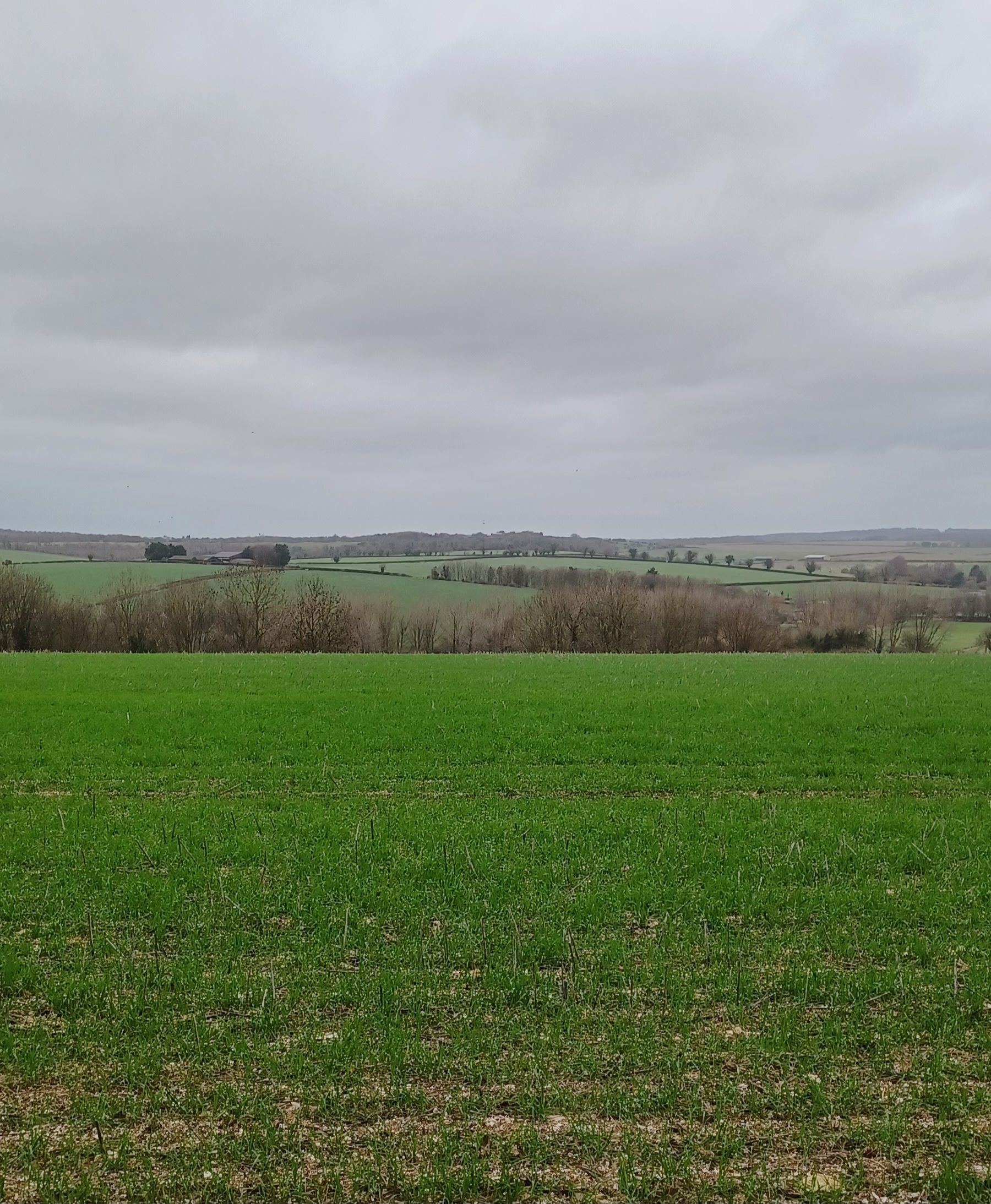 View over Tarrant Valley
