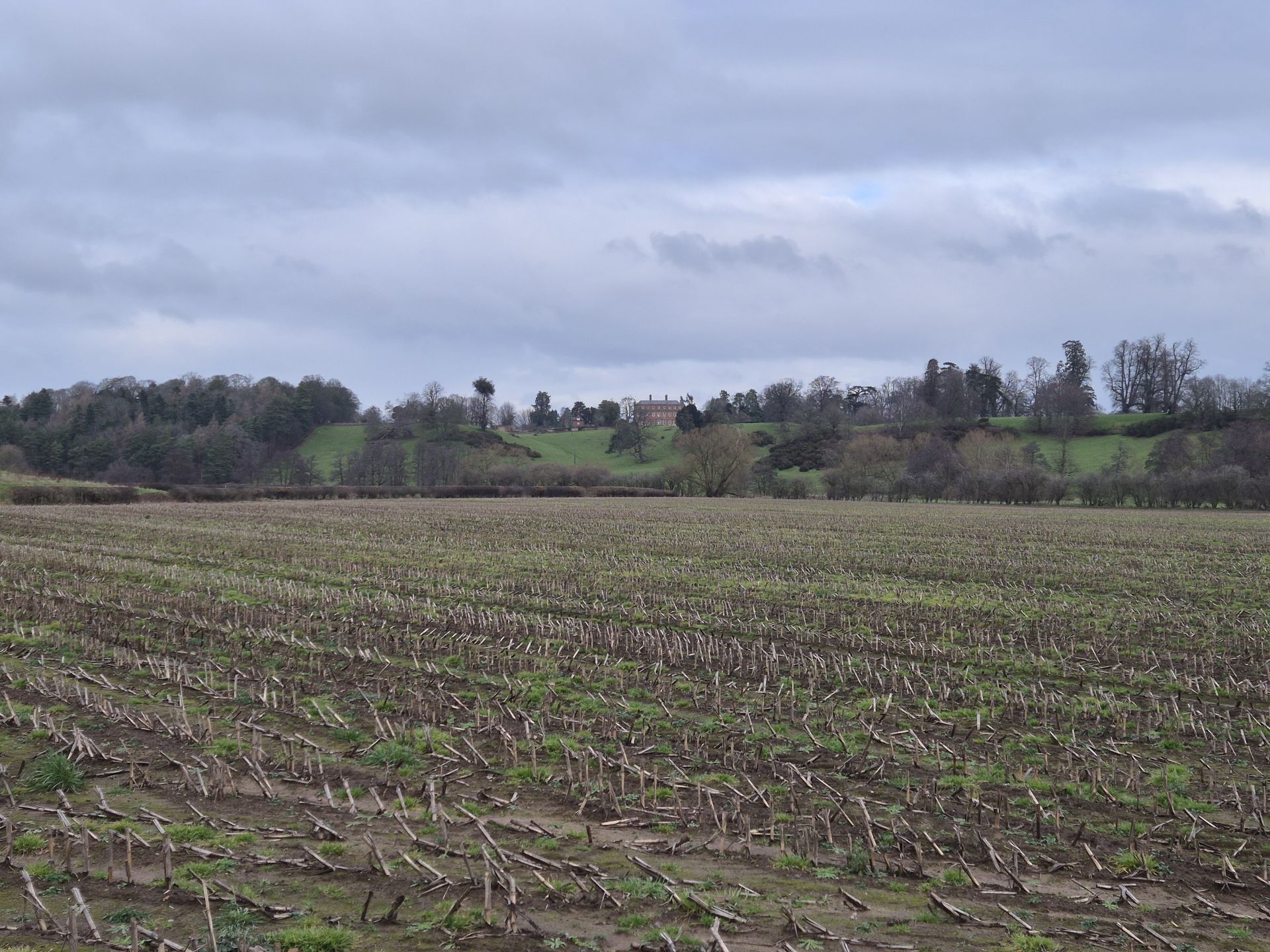 Davenport House view