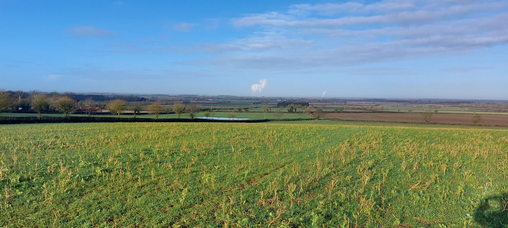 Looking out towards the Trent