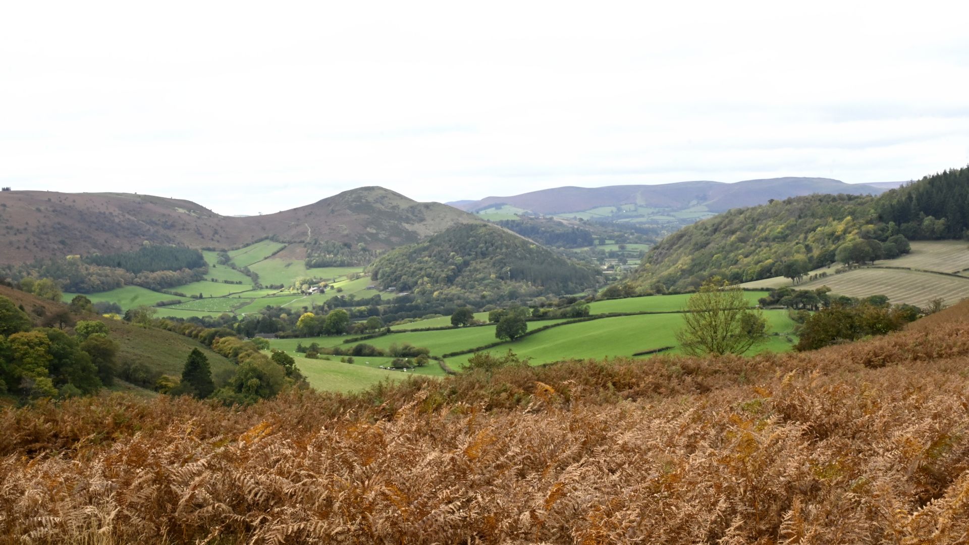 View of Bradnor and Herrock Hills