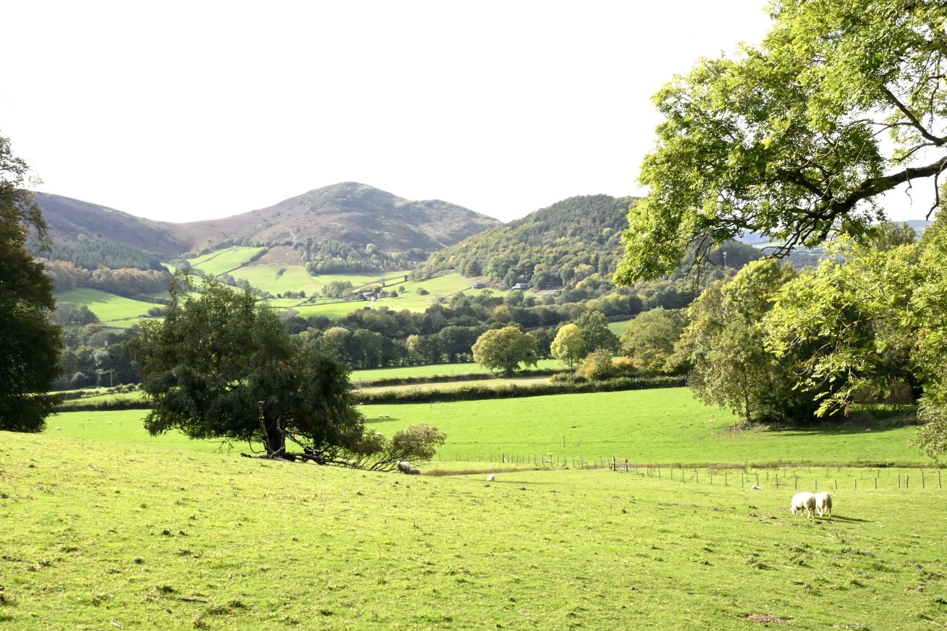Looking back towards Herrock Hill