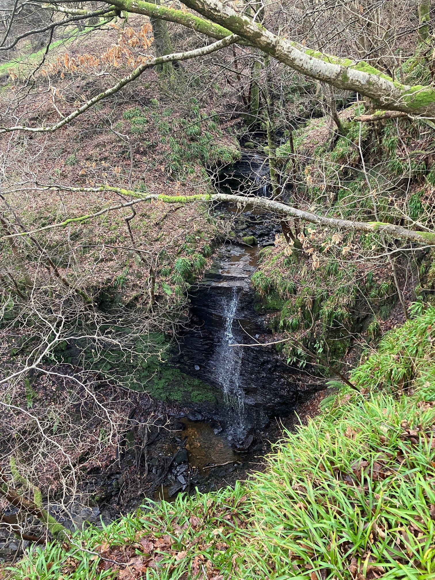 waterfall at Dysel (Davishill)