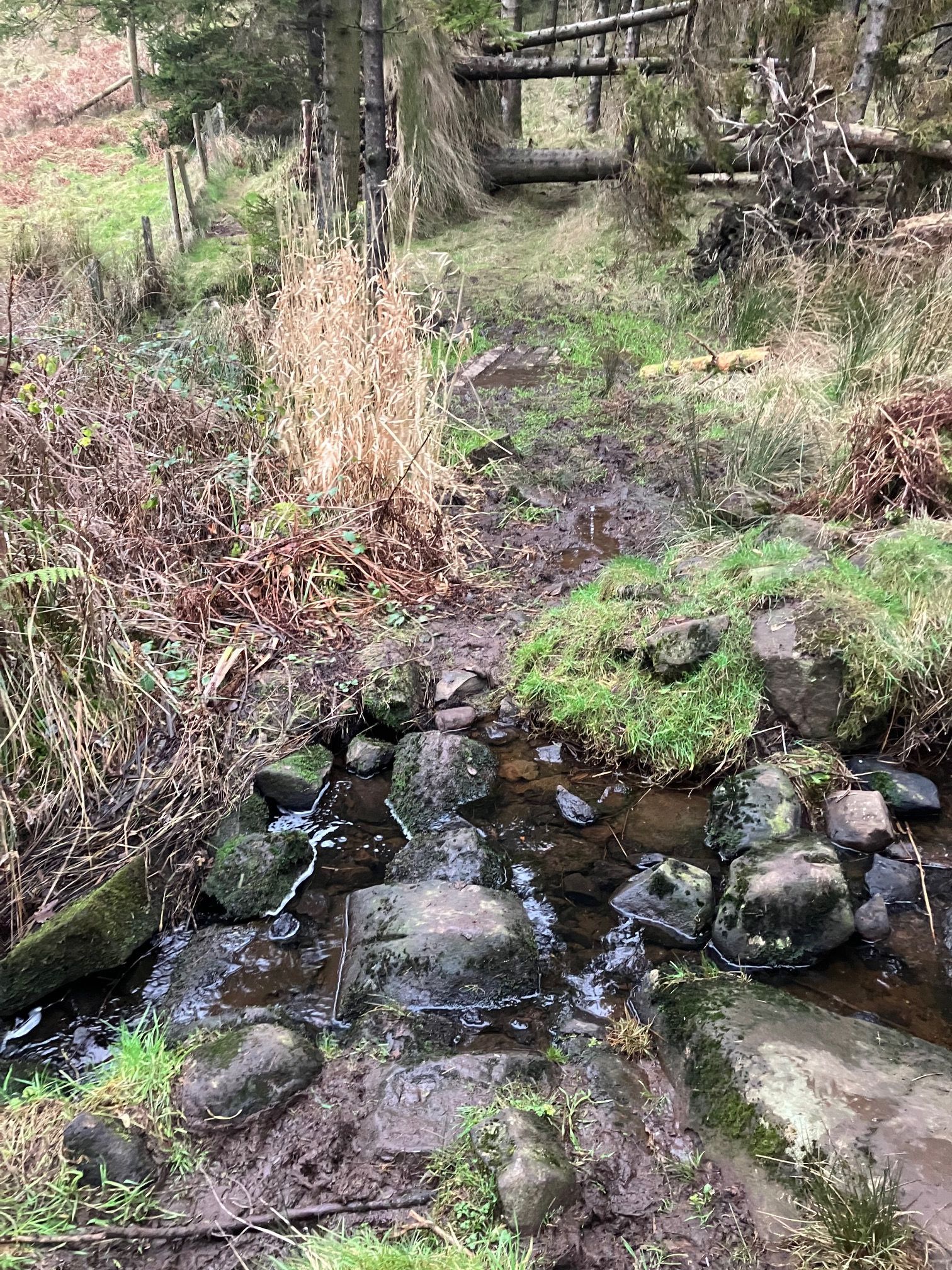 stream to cross (which may be muddy if raining)