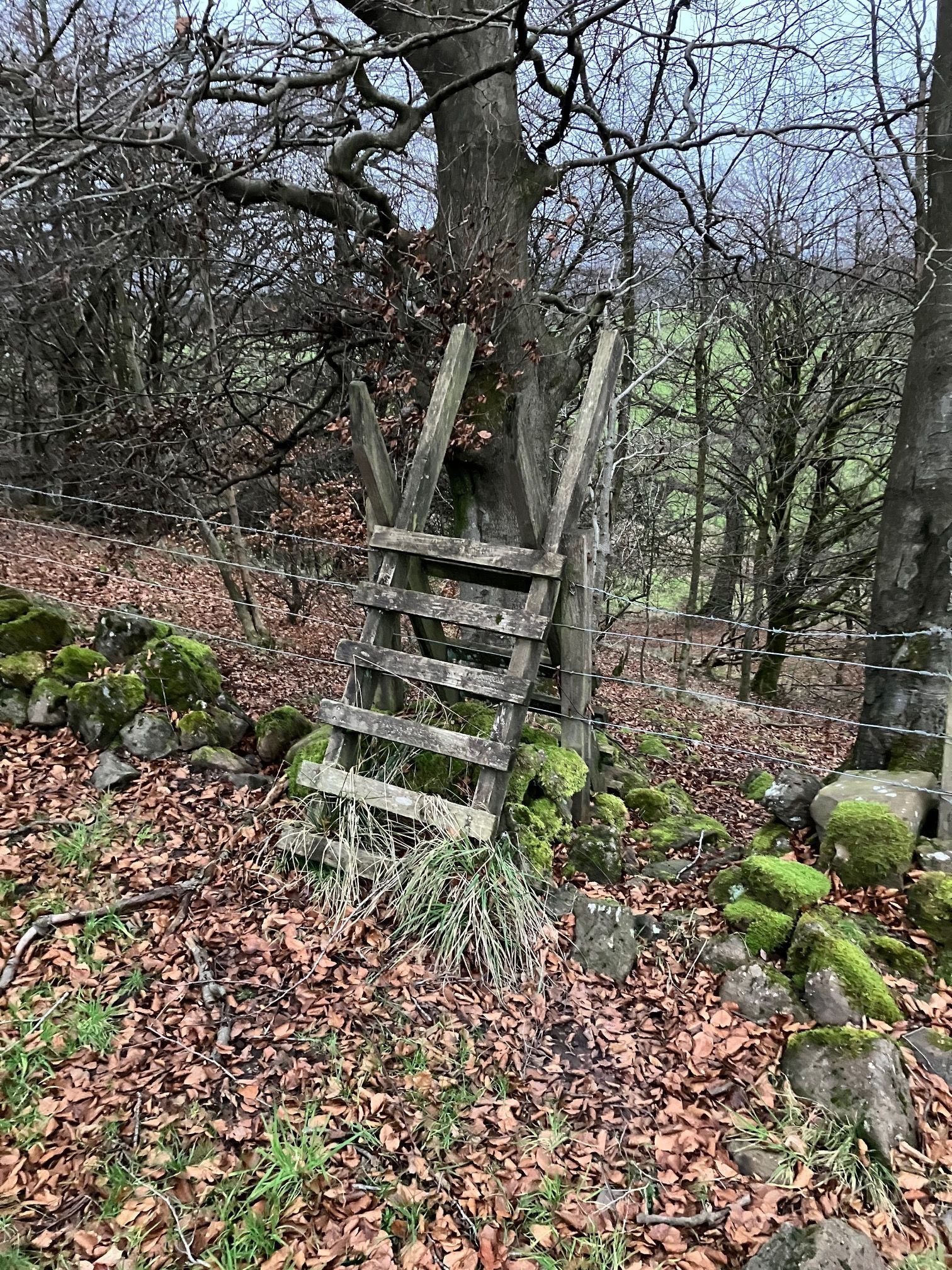 second stile to cross
