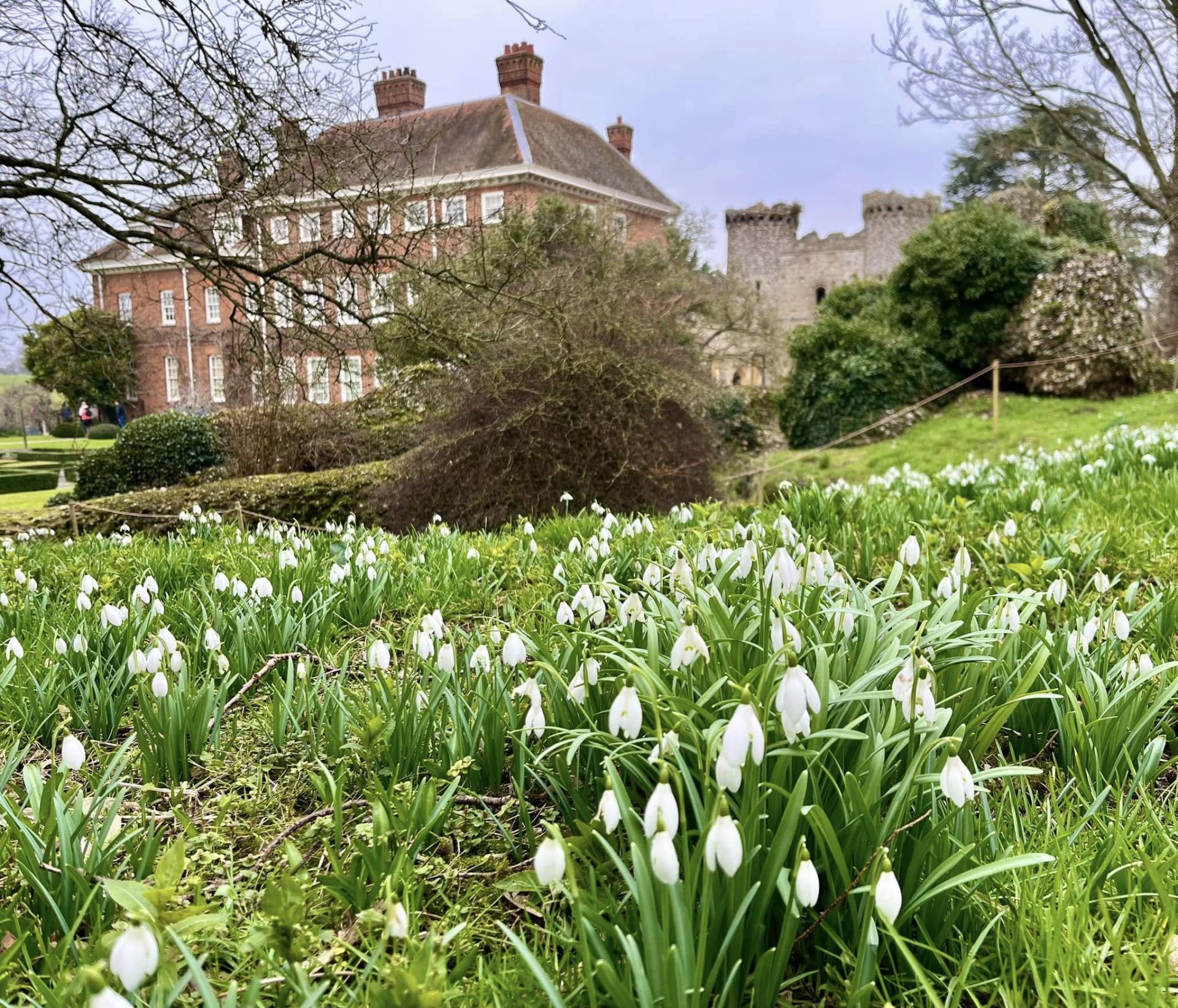 Benington Lordship, with snowdrops in the foreground