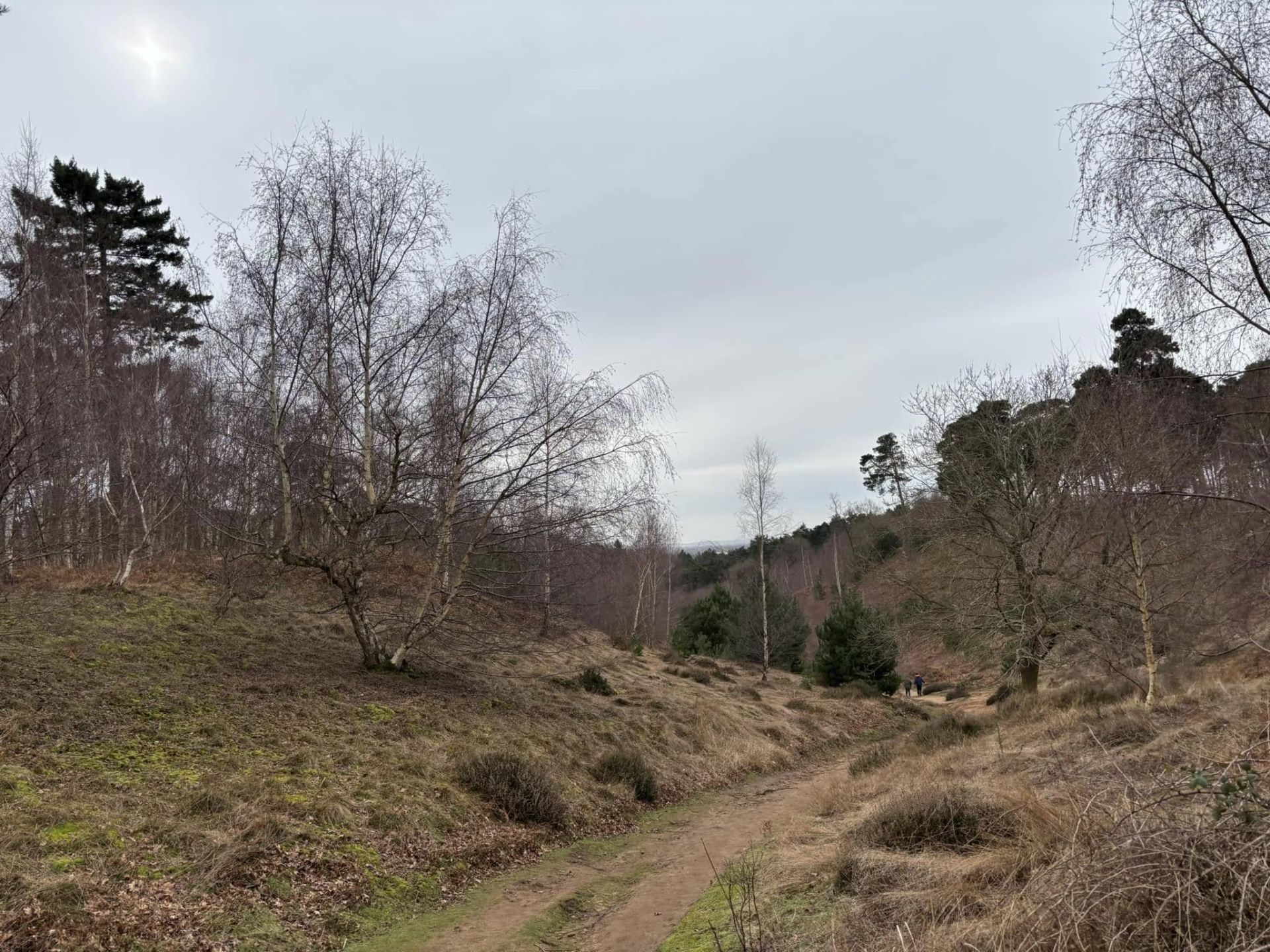 Scenery at the RSPB nature reserve