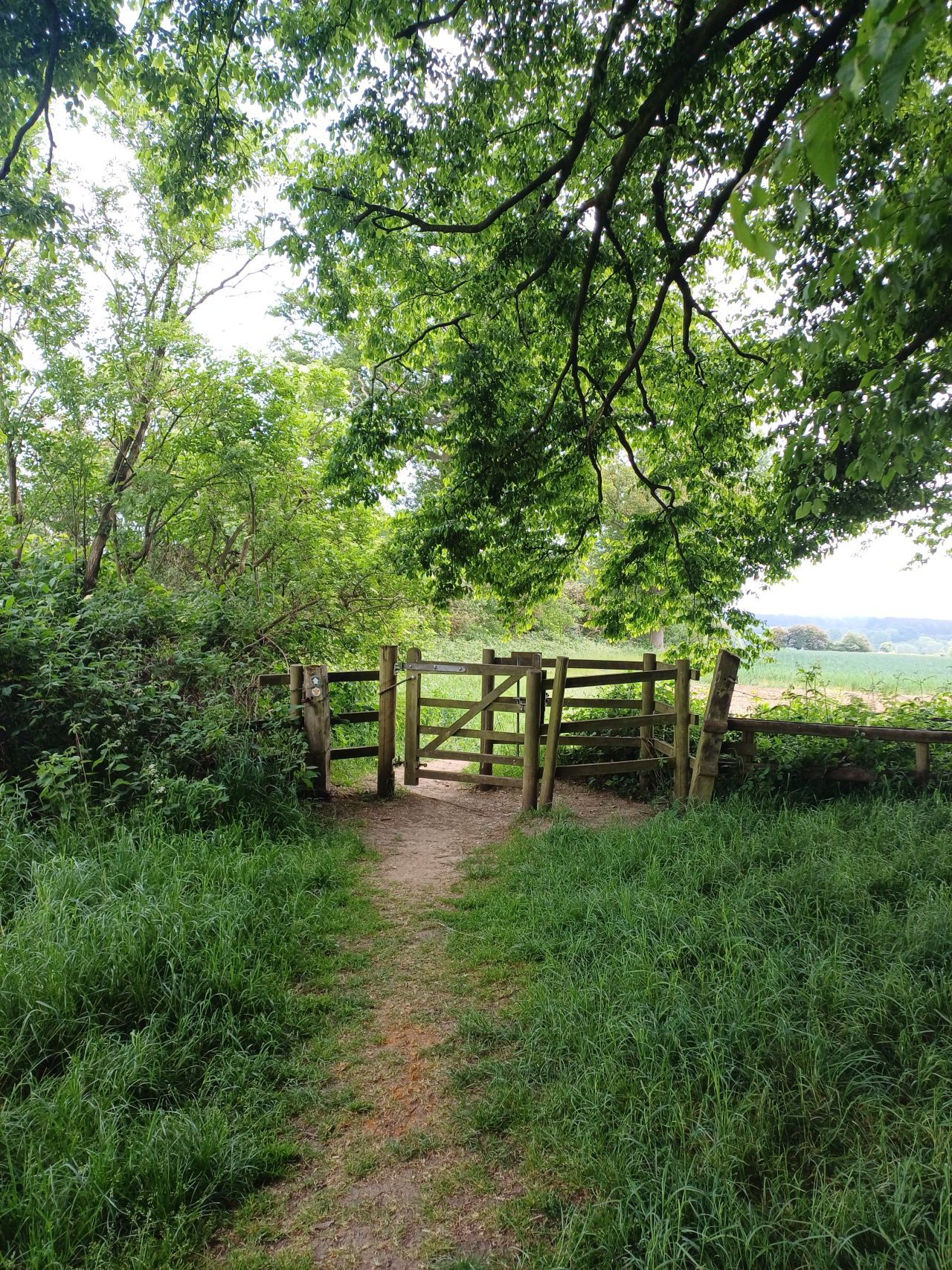 path and kissing gate